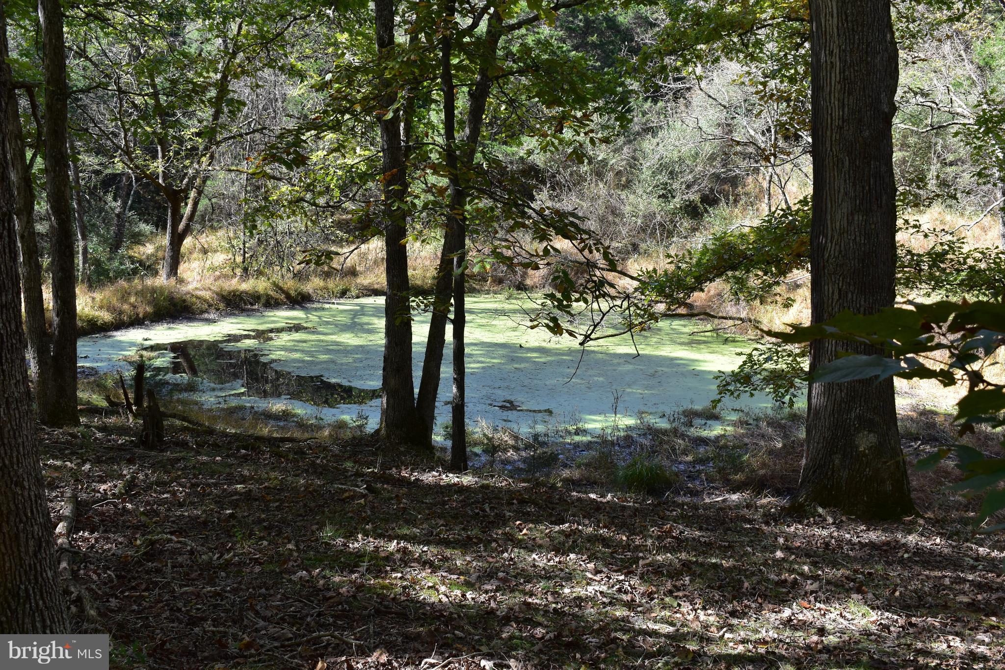 CRYSTAL VALLEY RANCHETTES - Land