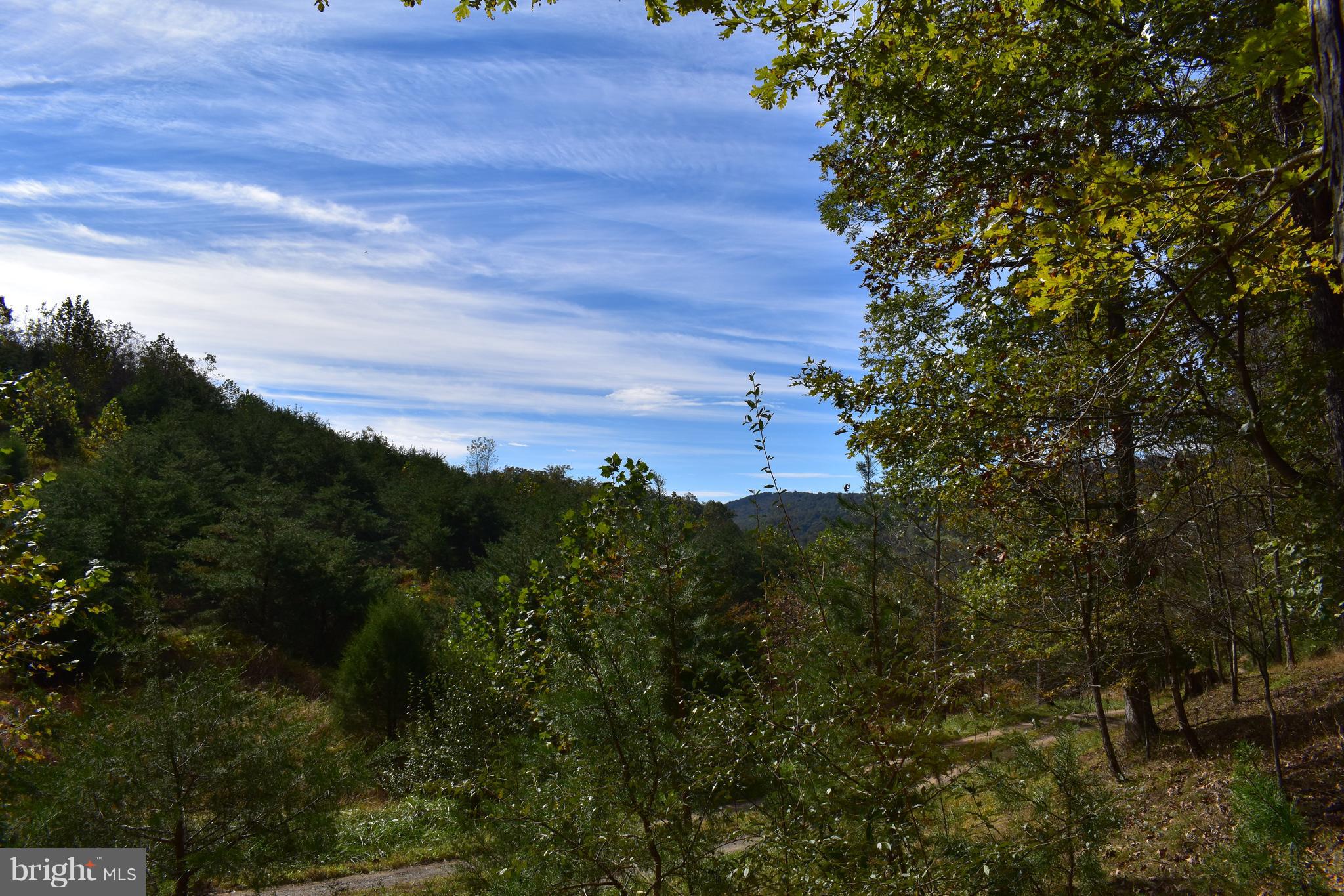 CRYSTAL VALLEY RANCHETTES - Land
