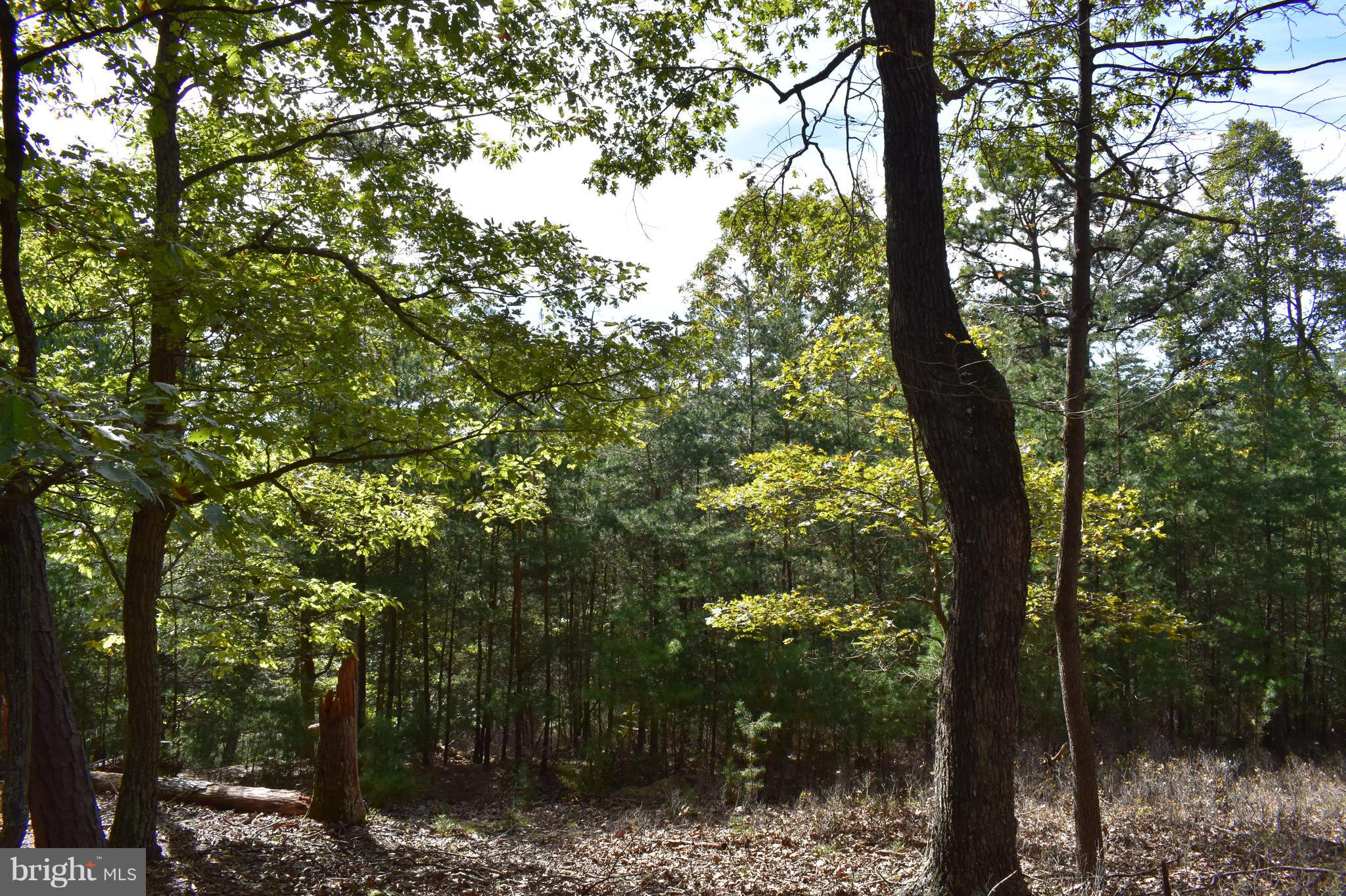 CRYSTAL VALLEY RANCHETTES - Land