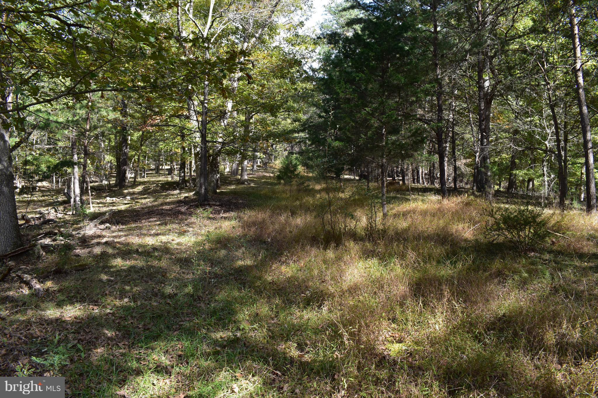 Ideal location just outside Romney and adjacent to Crystal Valley Ranch in protected community of large homesites. The views from multiple building sites are tremendous with a spring fed pond with easy access and wonderful hardwood trees throughout property. Make this 20 acres your weekend retreat or full time residence. Imagine the opportunities!
