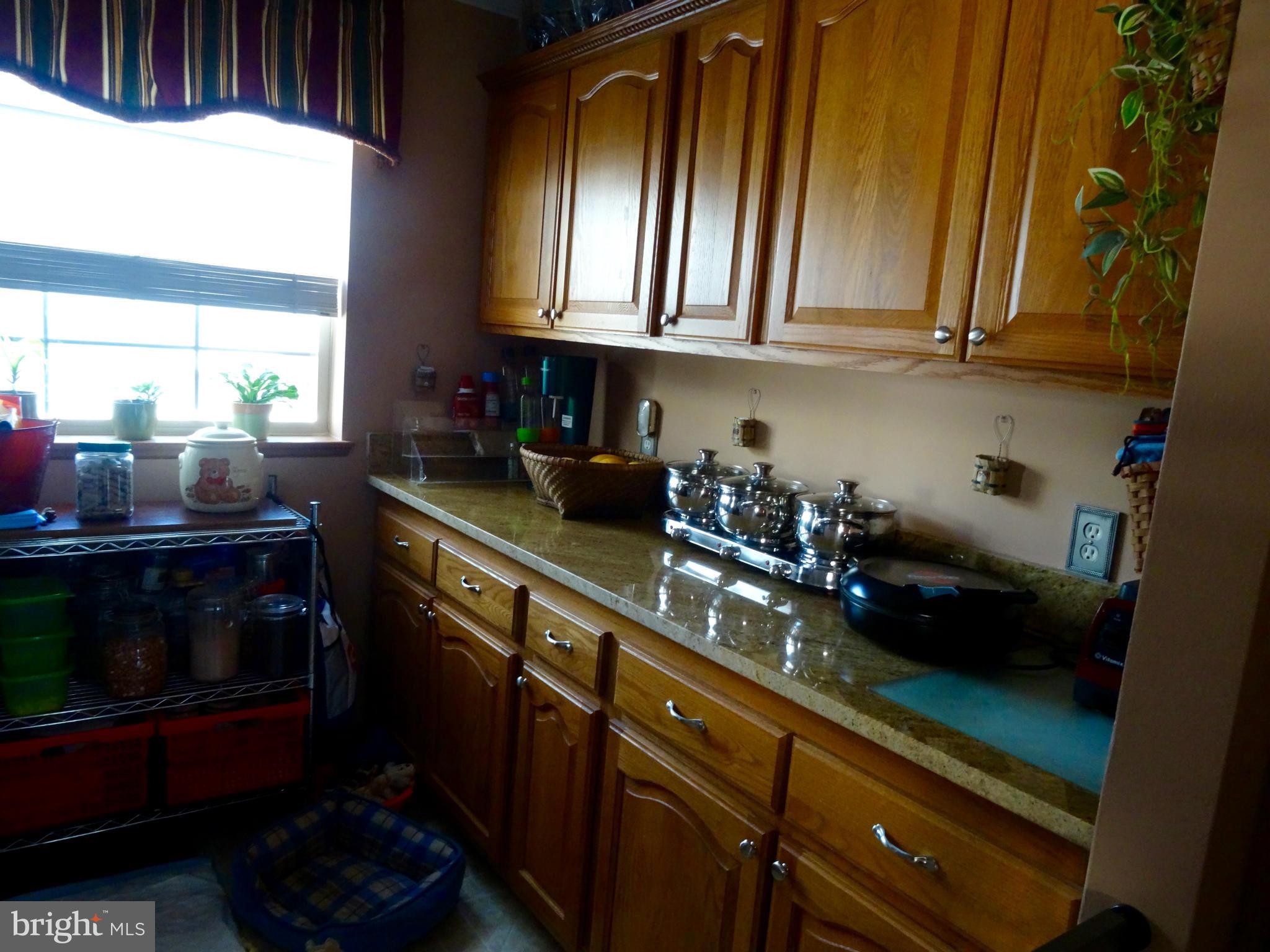 MEADOWS OF CHANTILLY - Residential