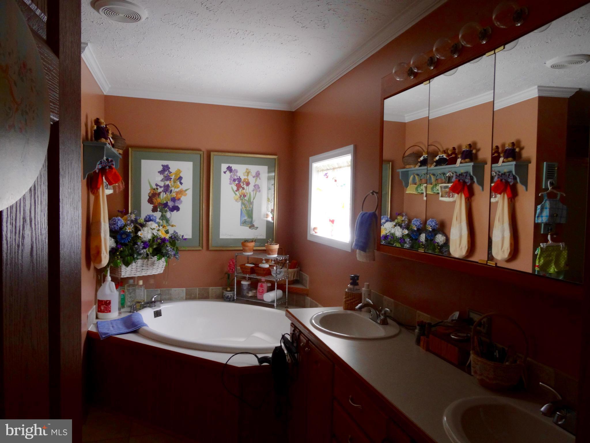 MEADOWS OF CHANTILLY - Residential