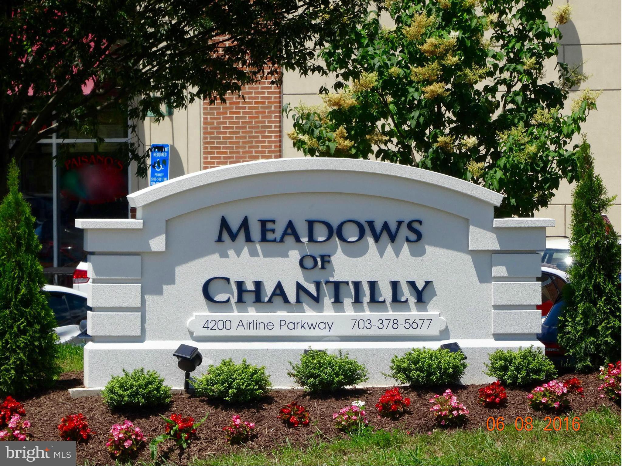 MEADOWS OF CHANTILLY - Residential