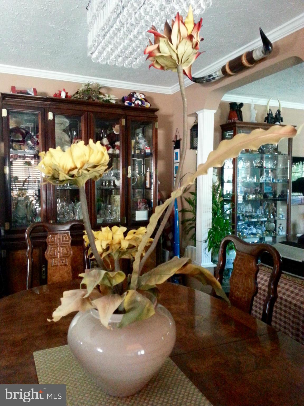 MEADOWS OF CHANTILLY - Residential