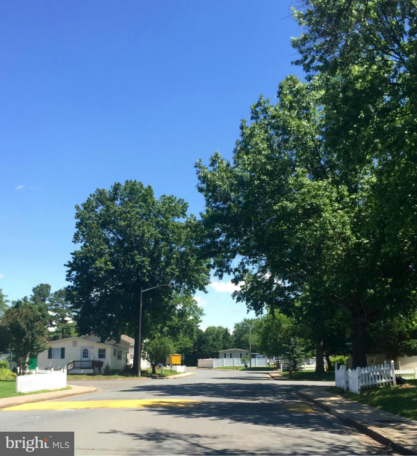 MEADOWS OF CHANTILLY - Residential