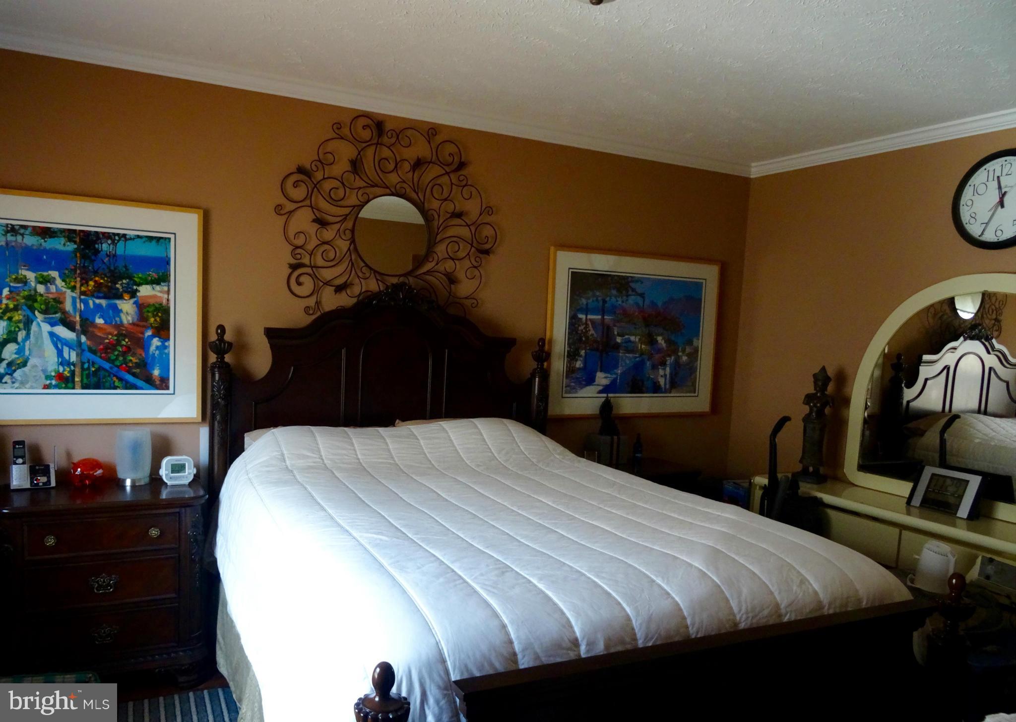 MEADOWS OF CHANTILLY - Residential