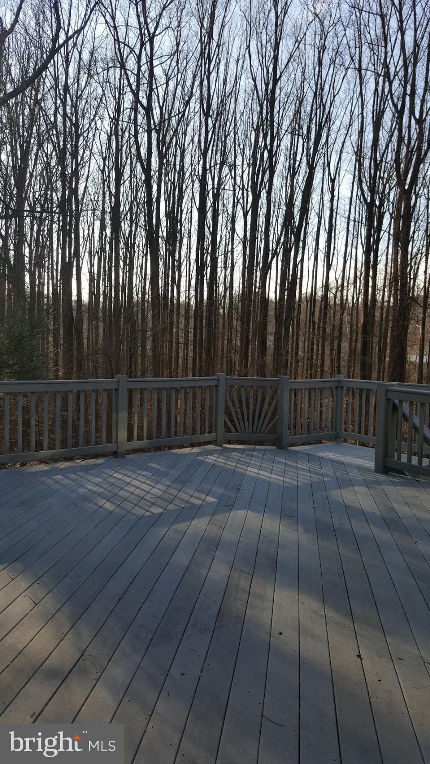 ELMWOOD ESTATES - Residential Lease