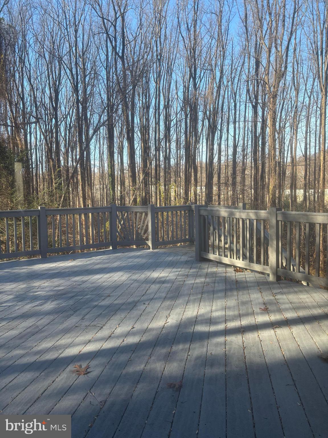 ELMWOOD ESTATES - Residential Lease