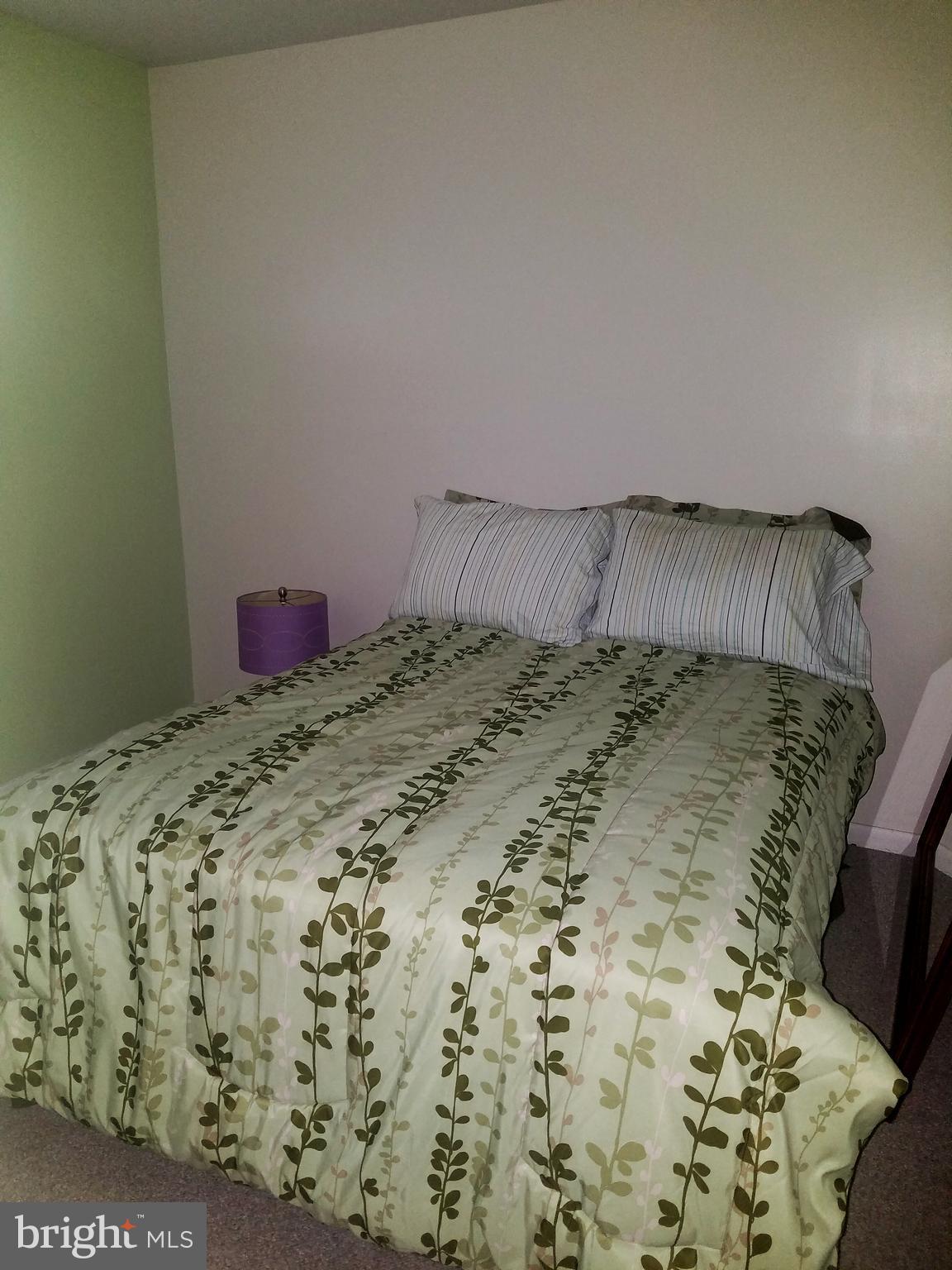 LODGE AT MCDONGH - Residential