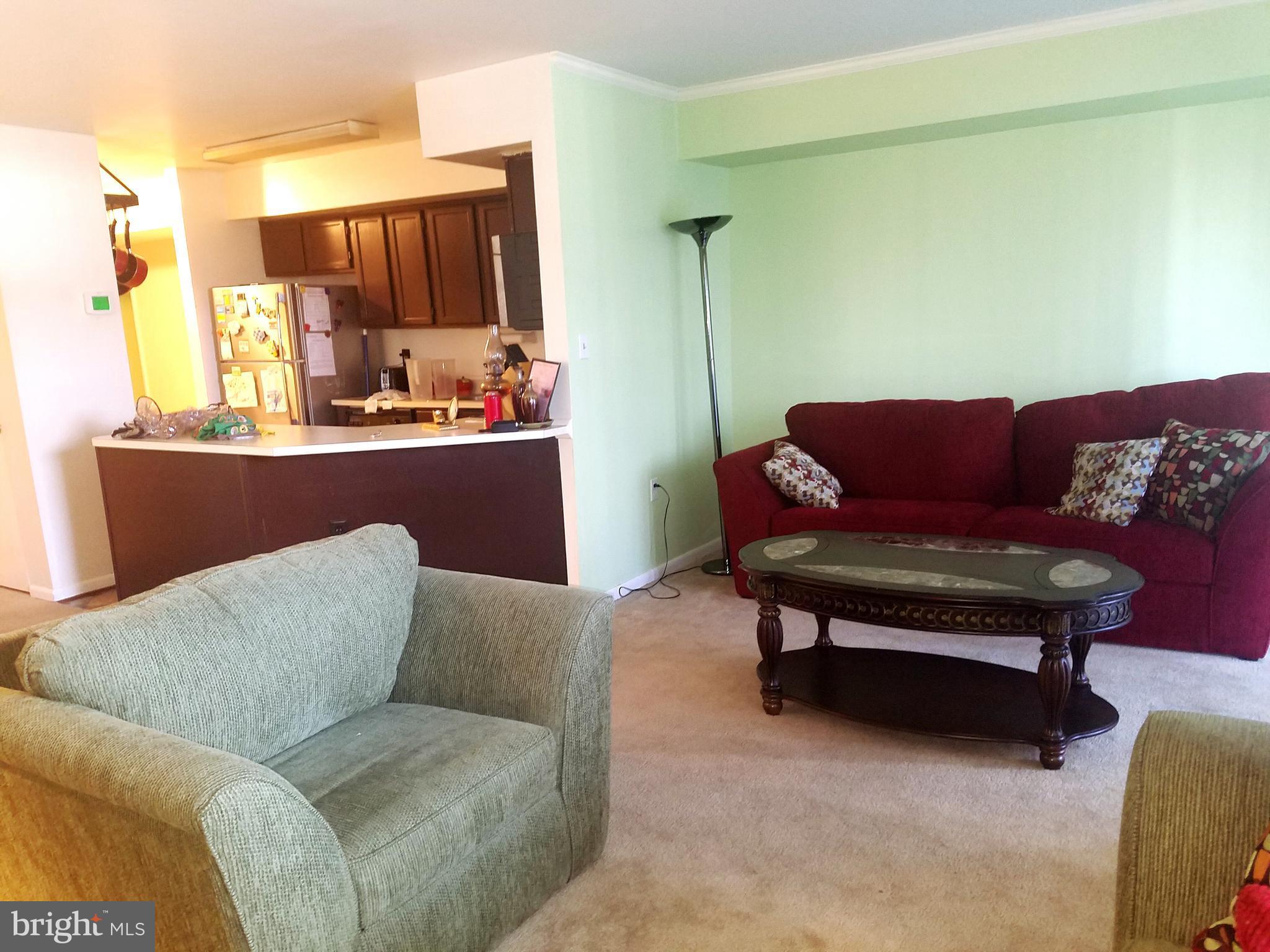 LODGE AT MCDONGH - Residential