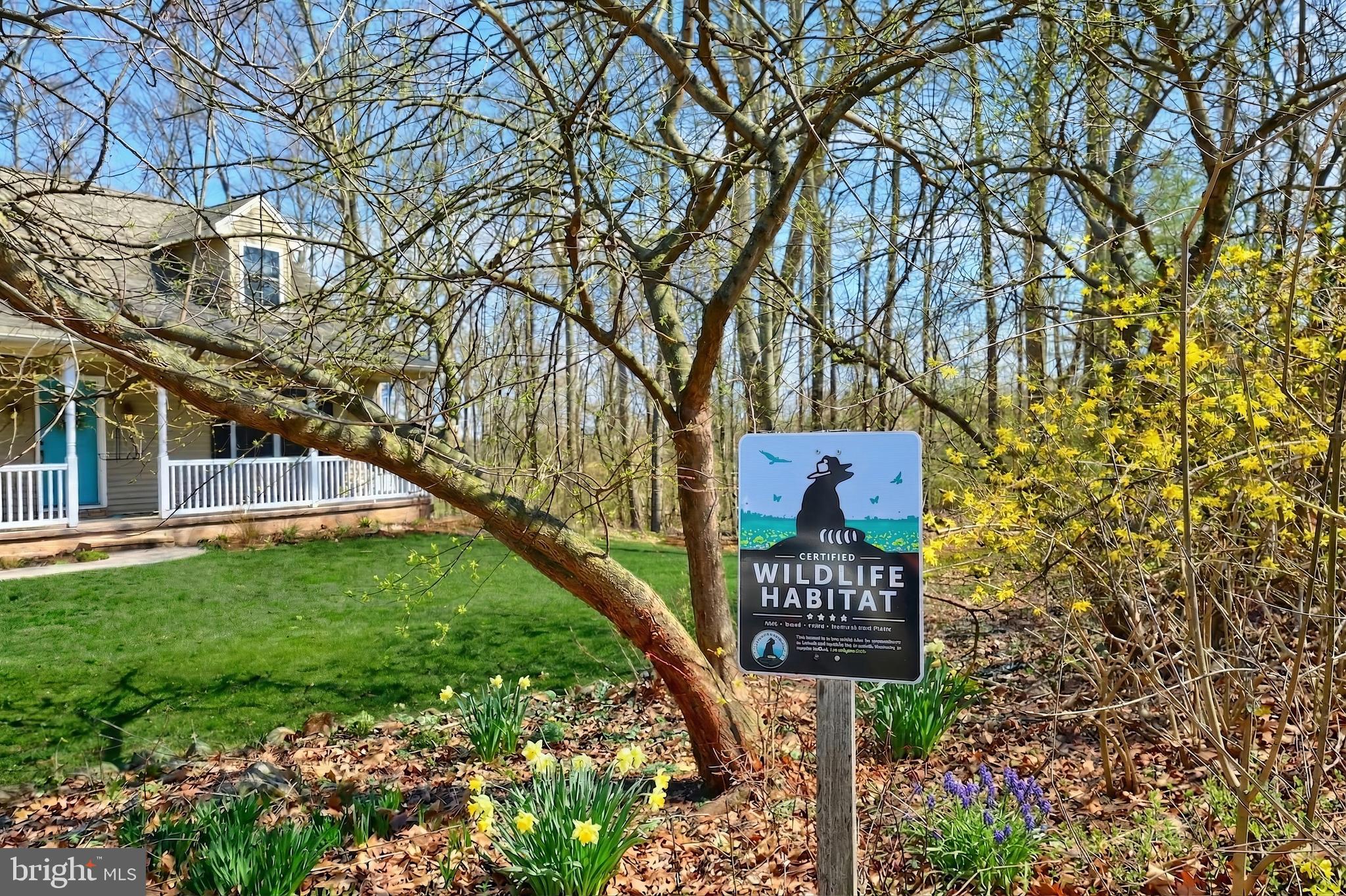 LAKE MEADE - Residential