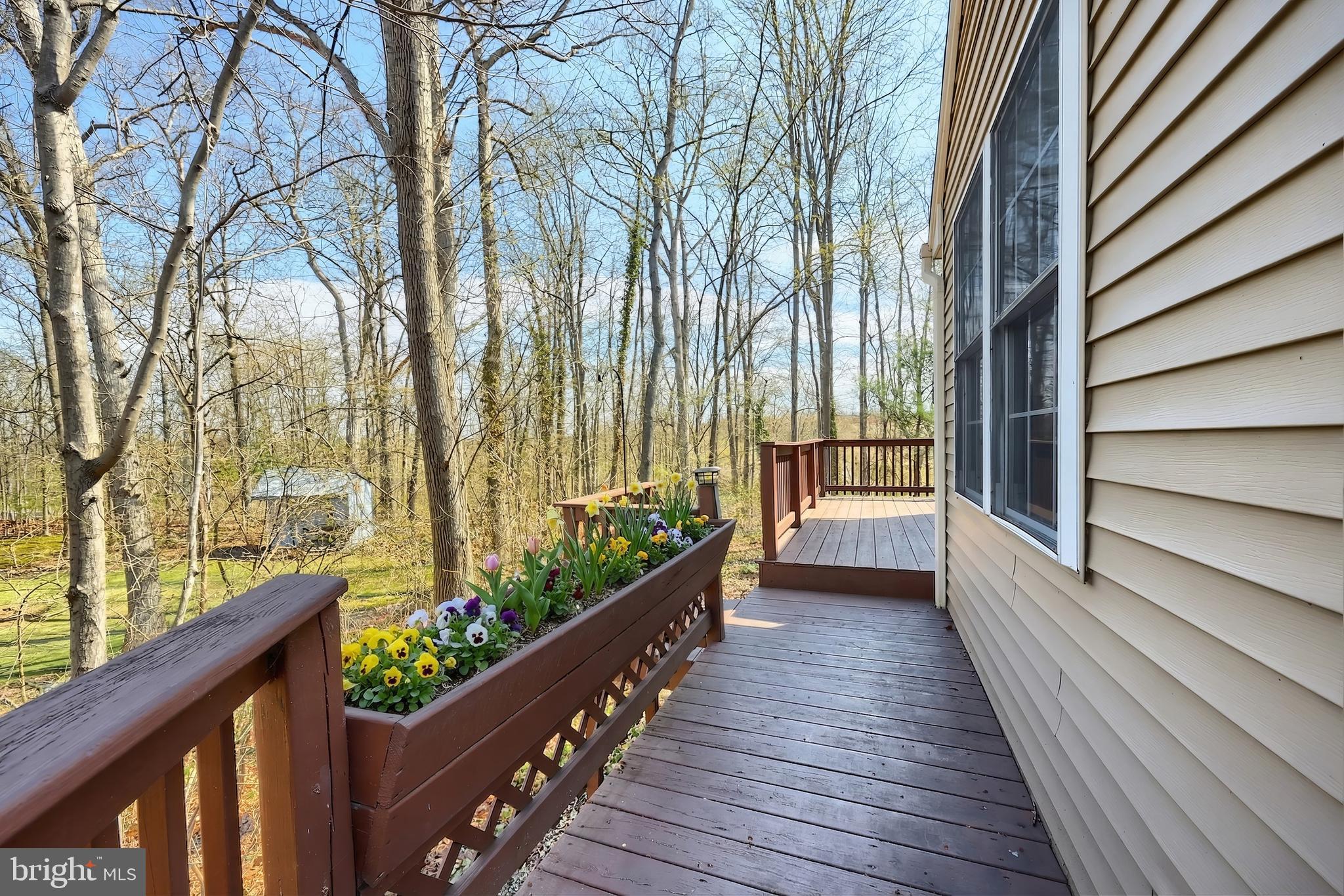 LAKE MEADE - Residential