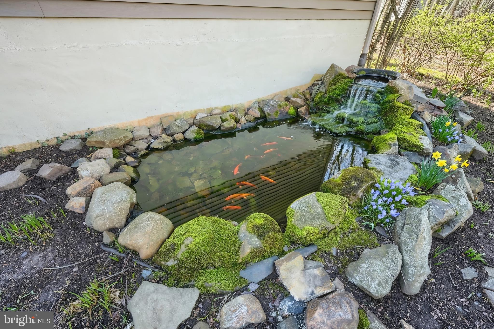 LAKE MEADE - Residential