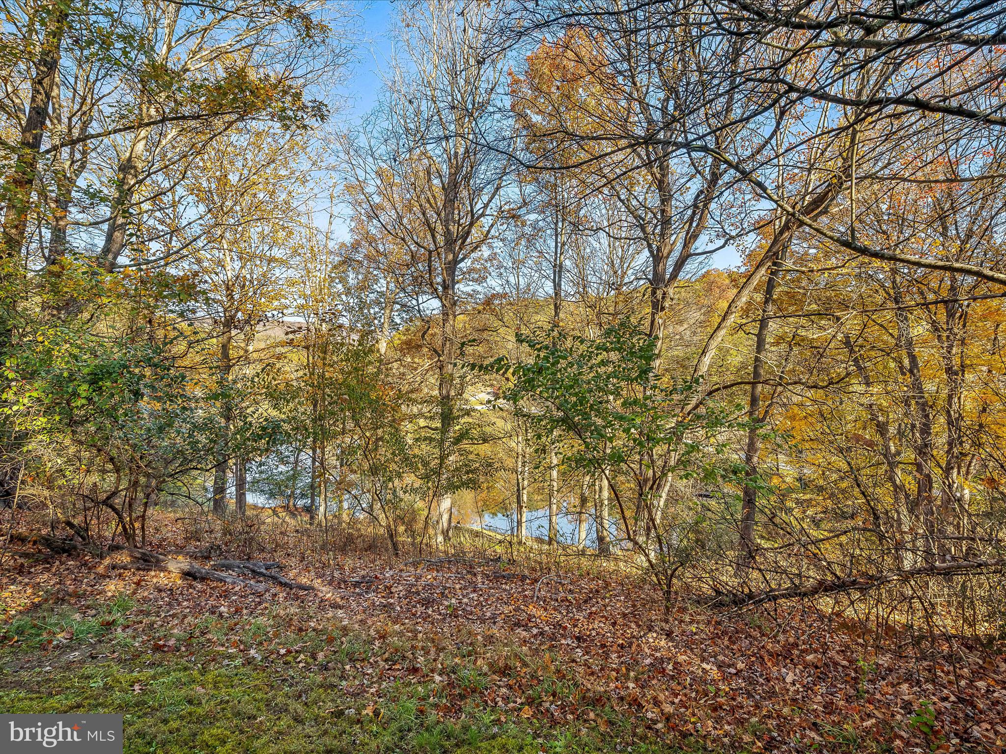 COLONIAL VILLAGE - Residential