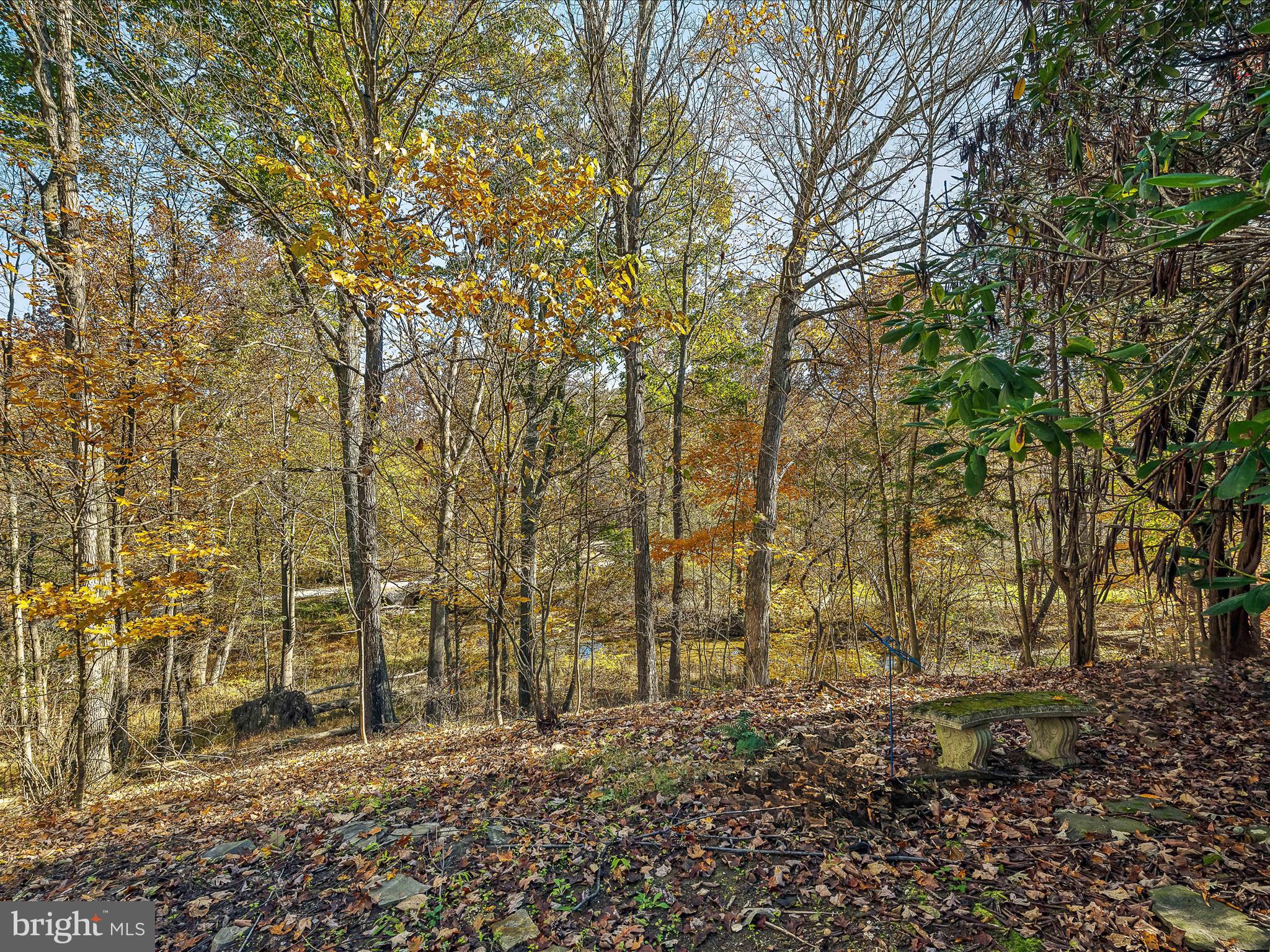 COLONIAL VILLAGE - Residential