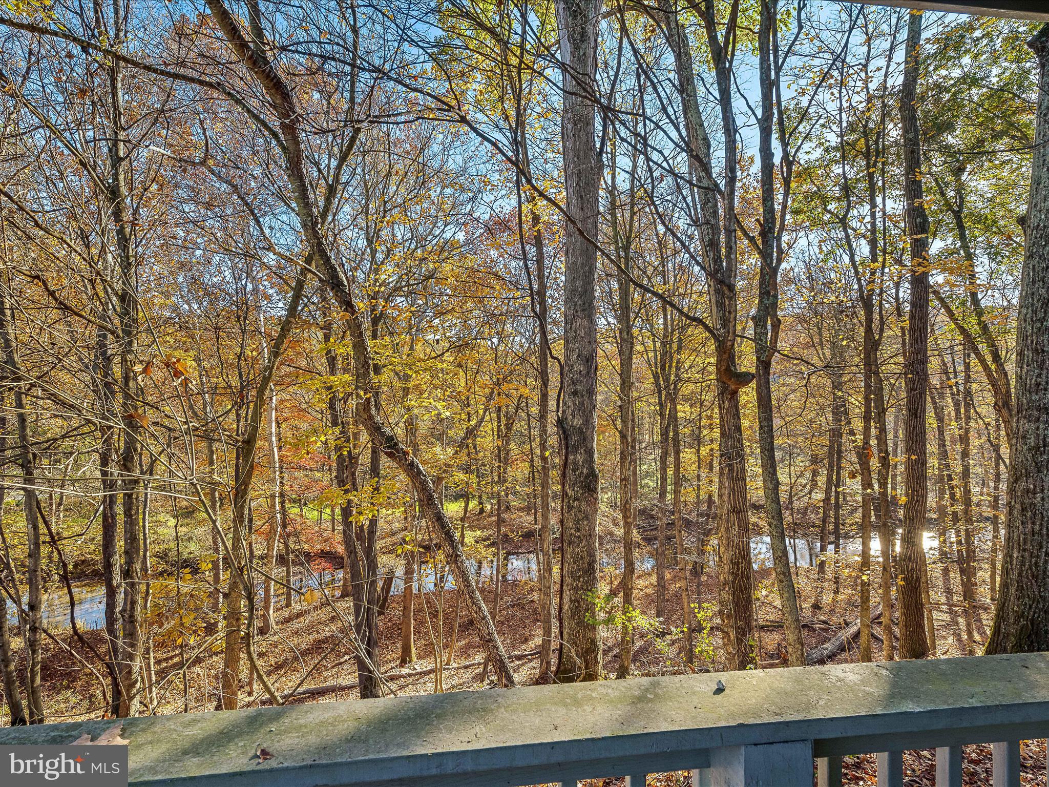 COLONIAL VILLAGE - Residential