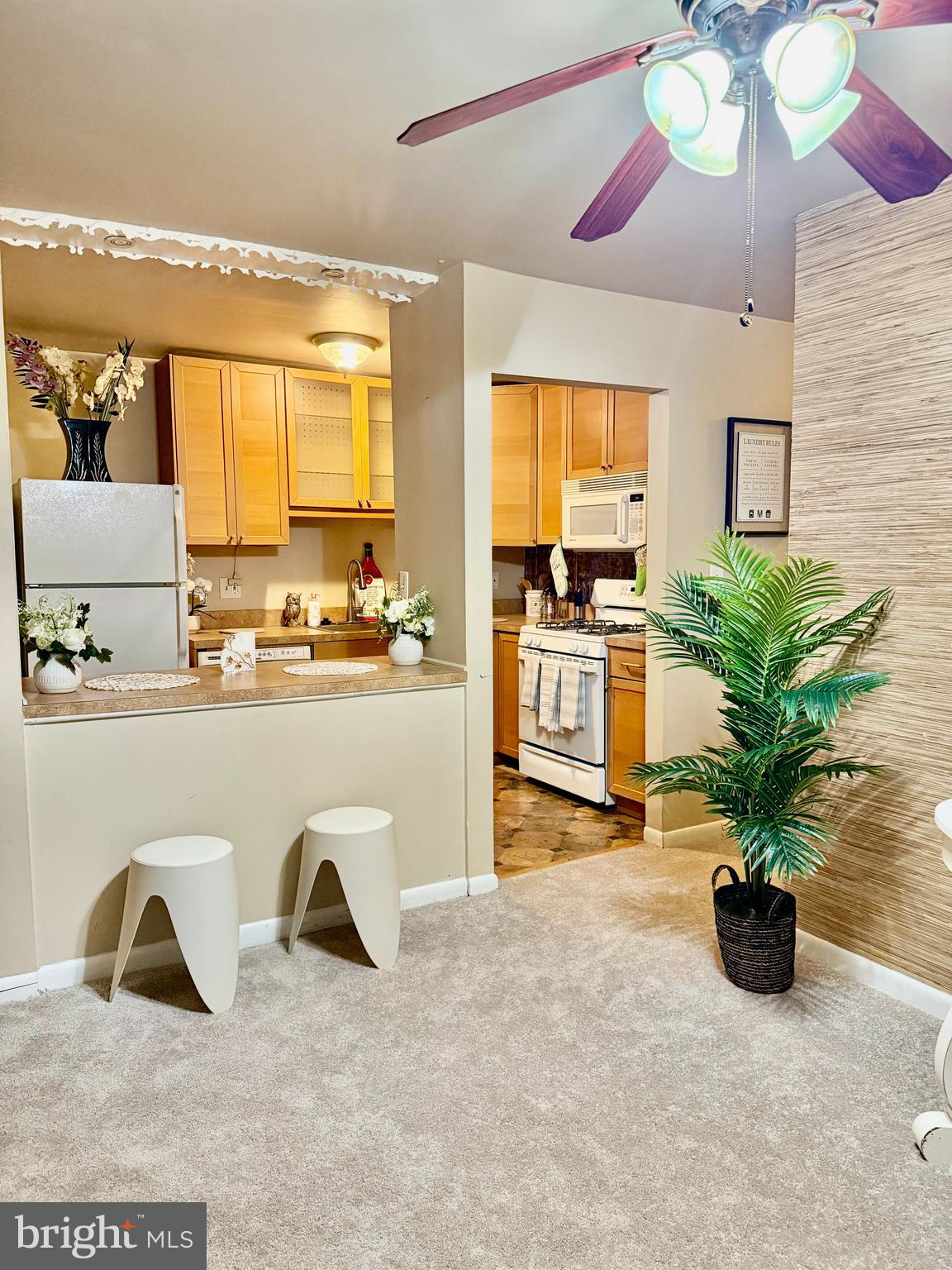 BALTIMORE COUNTY - Residential