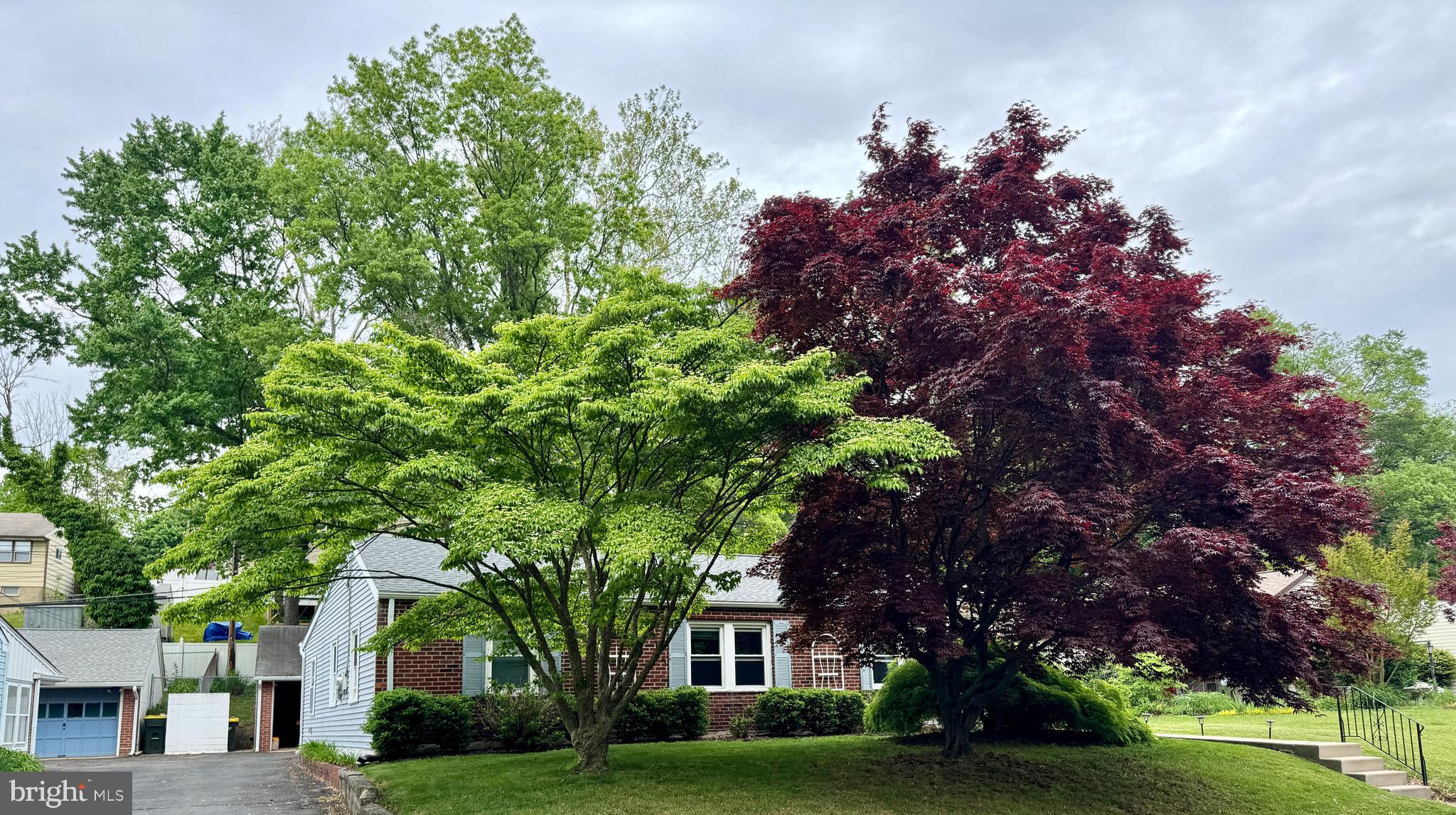 WILLOW GROVE - Residential