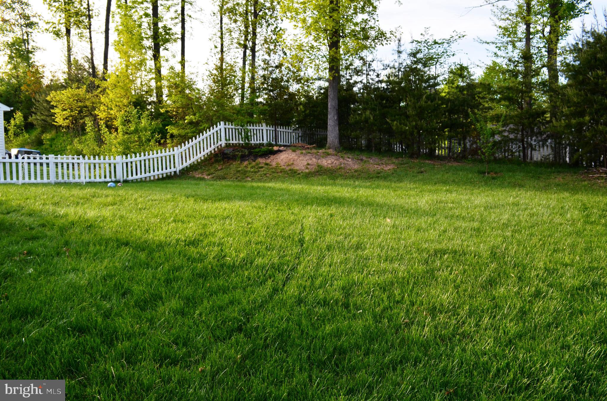 10117 ELLISTON COURT