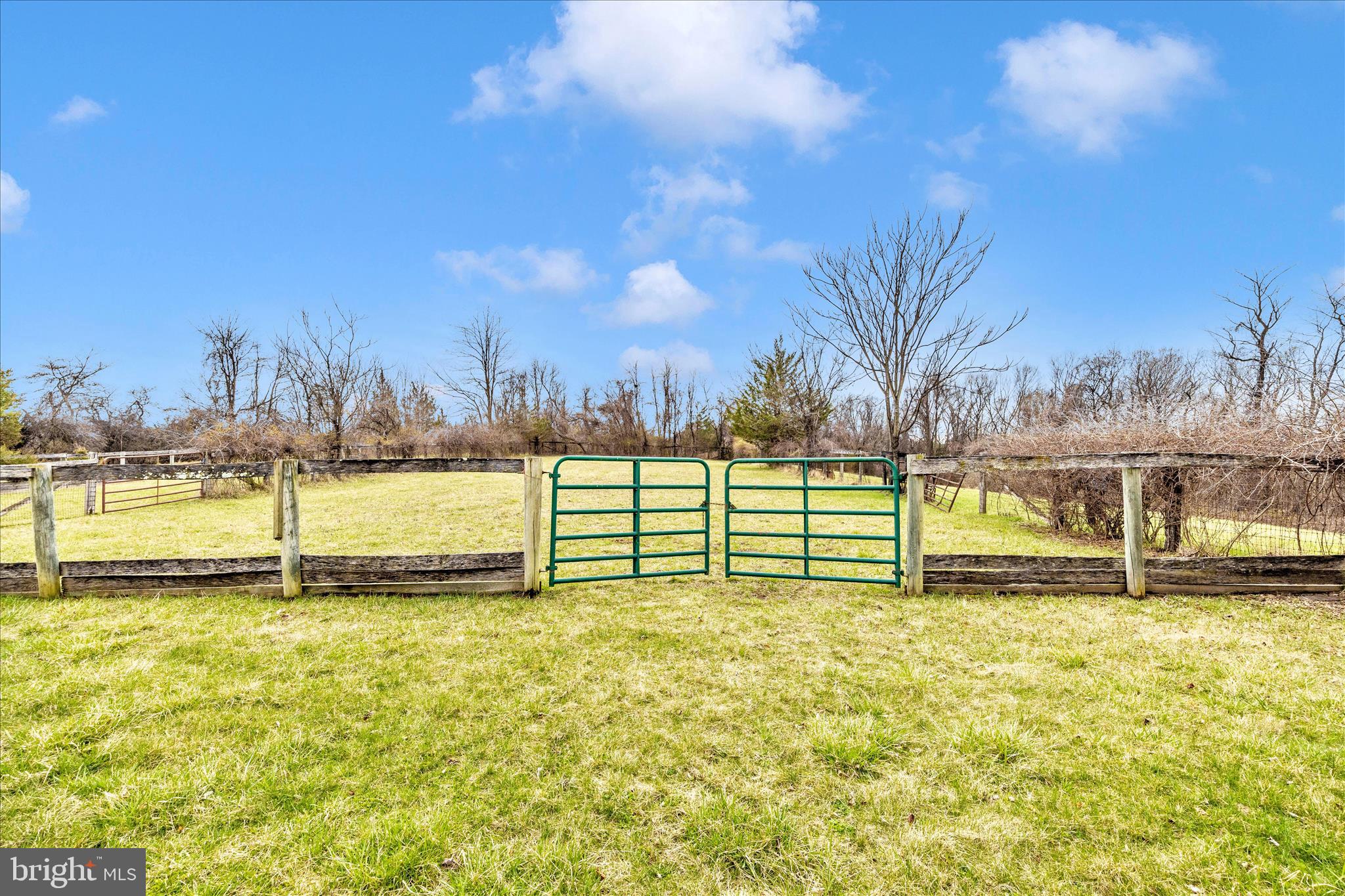 REICHS FORD ESTATES - Residential