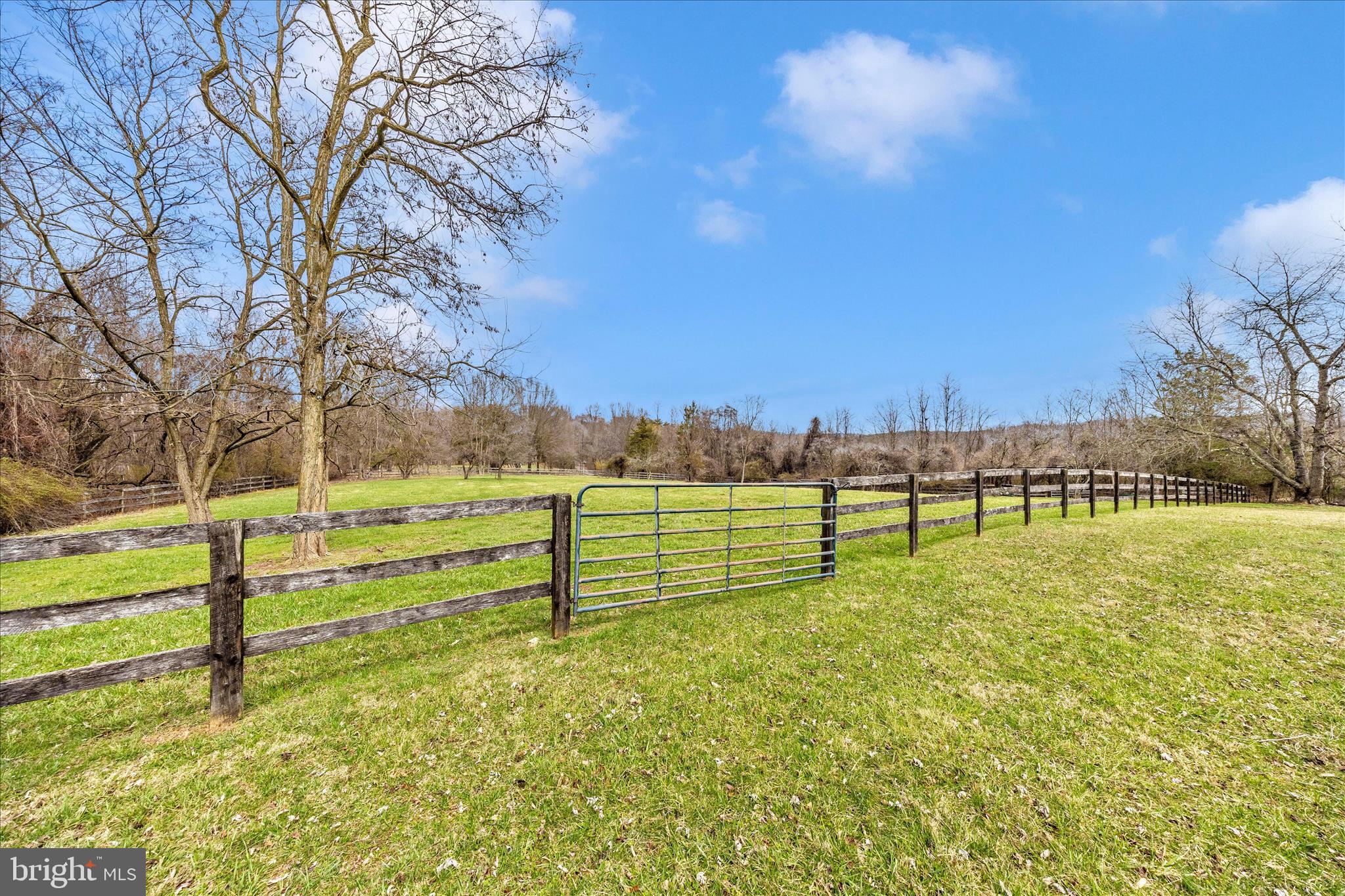 REICHS FORD ESTATES - Residential