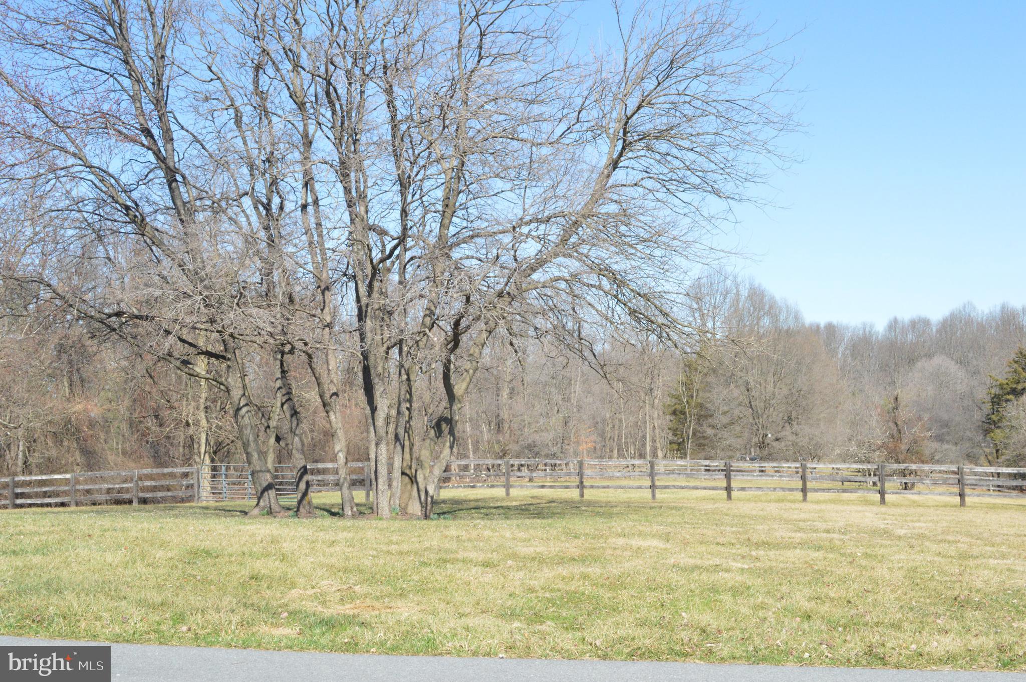 8708 REICHS FORD ROAD