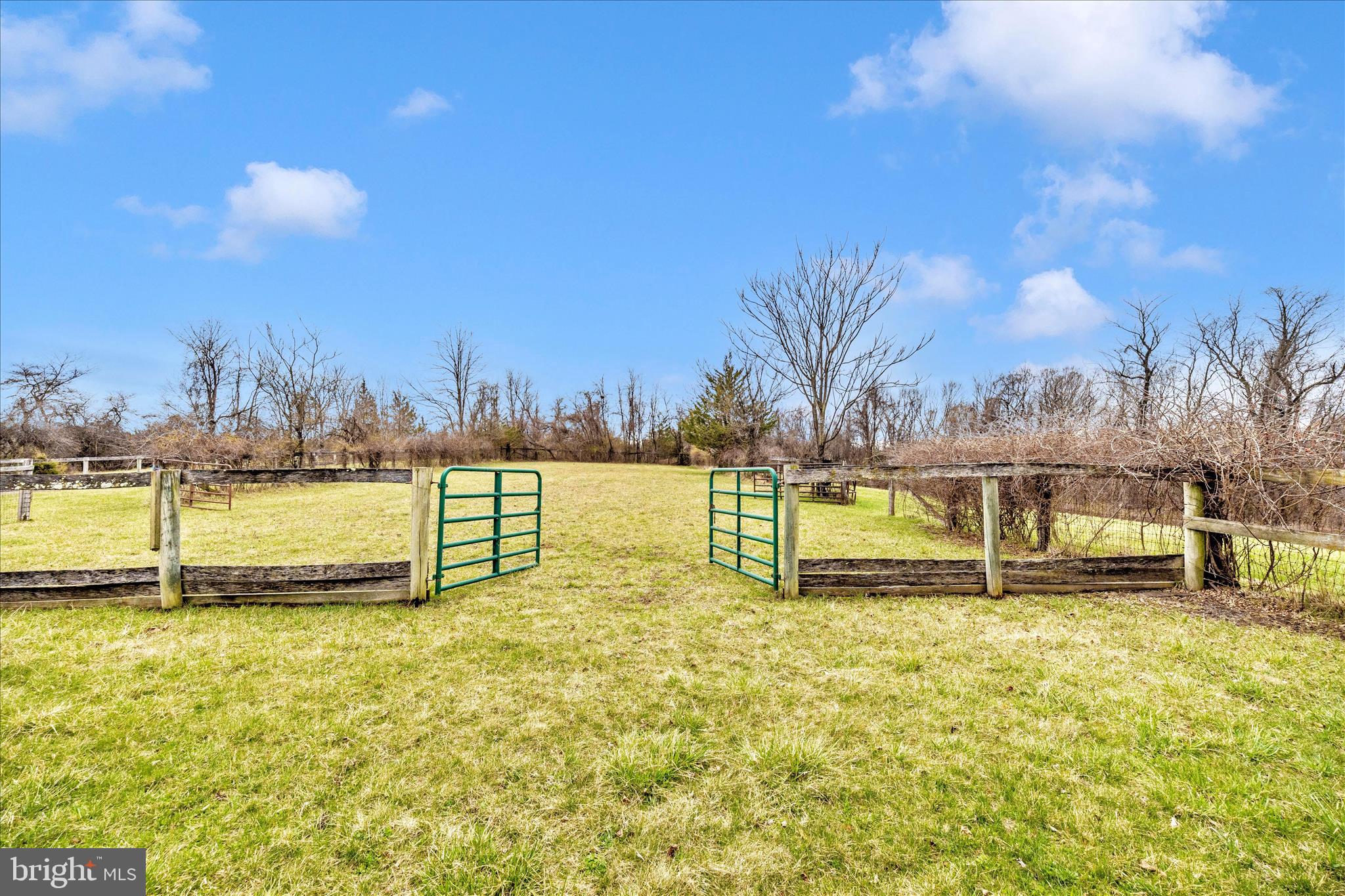 REICHS FORD ESTATES - Residential