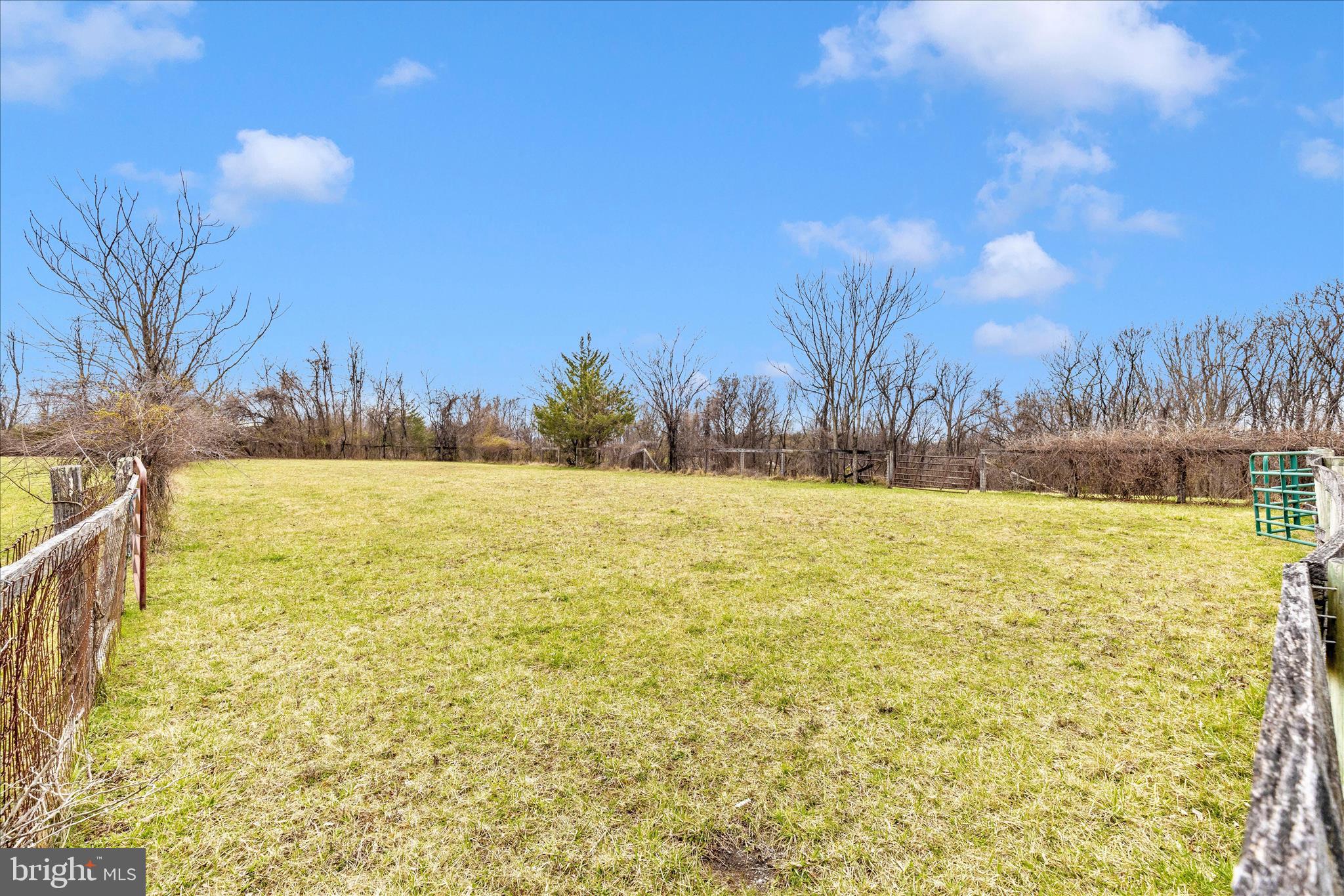 REICHS FORD ESTATES - Residential