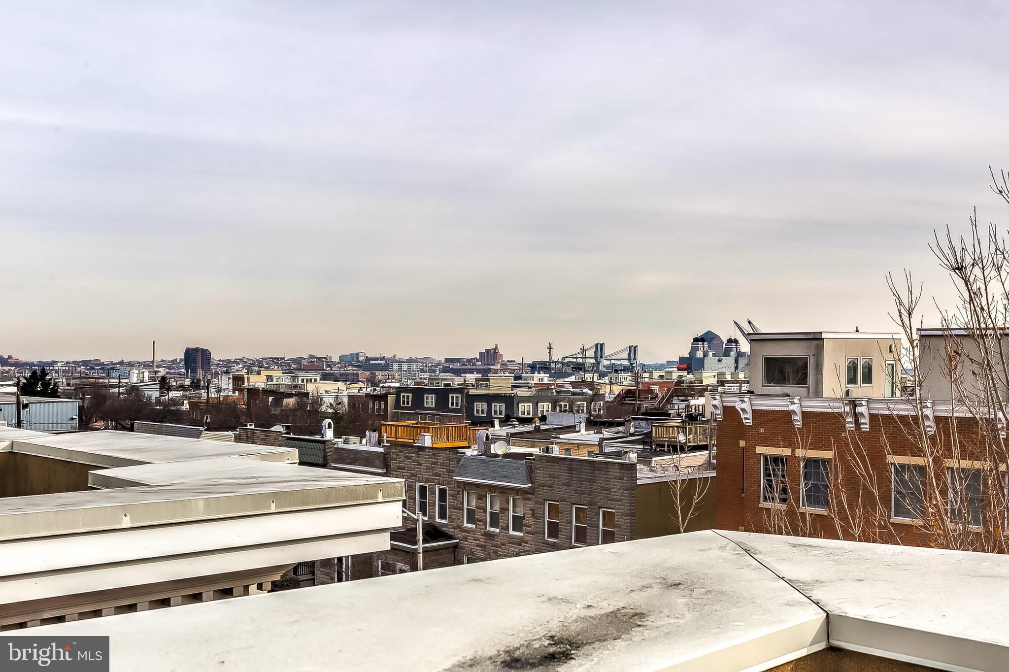 LOCUST POINT - Residential