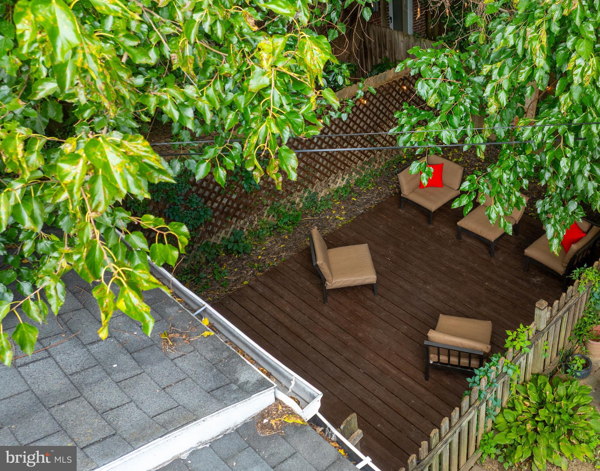 CHESTNUT HILL - Residential