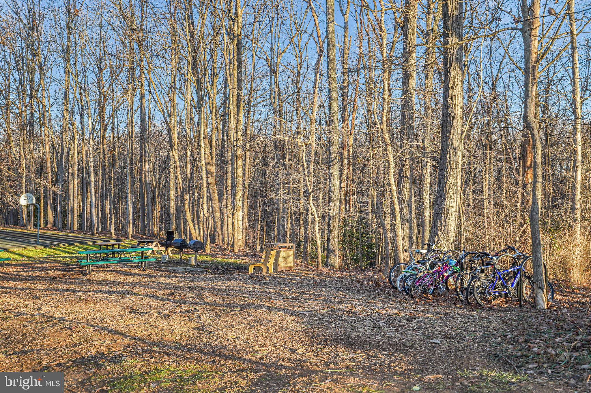 CHESTNUT GROVE - Residential