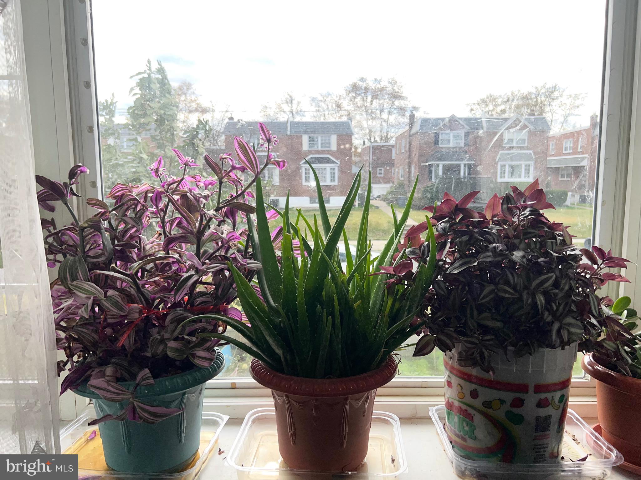 MAYFAIR - Residential