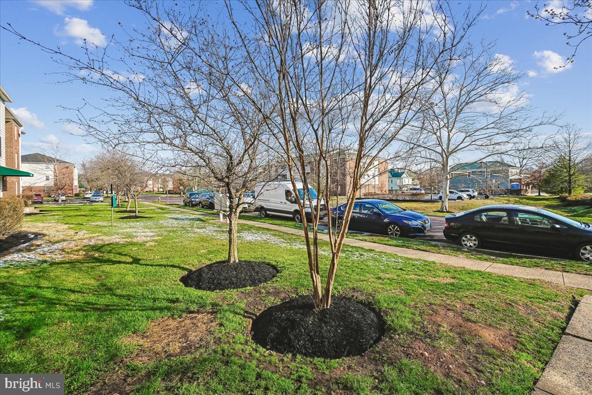 CEDAR LEE CONDOMINIUM - Residential