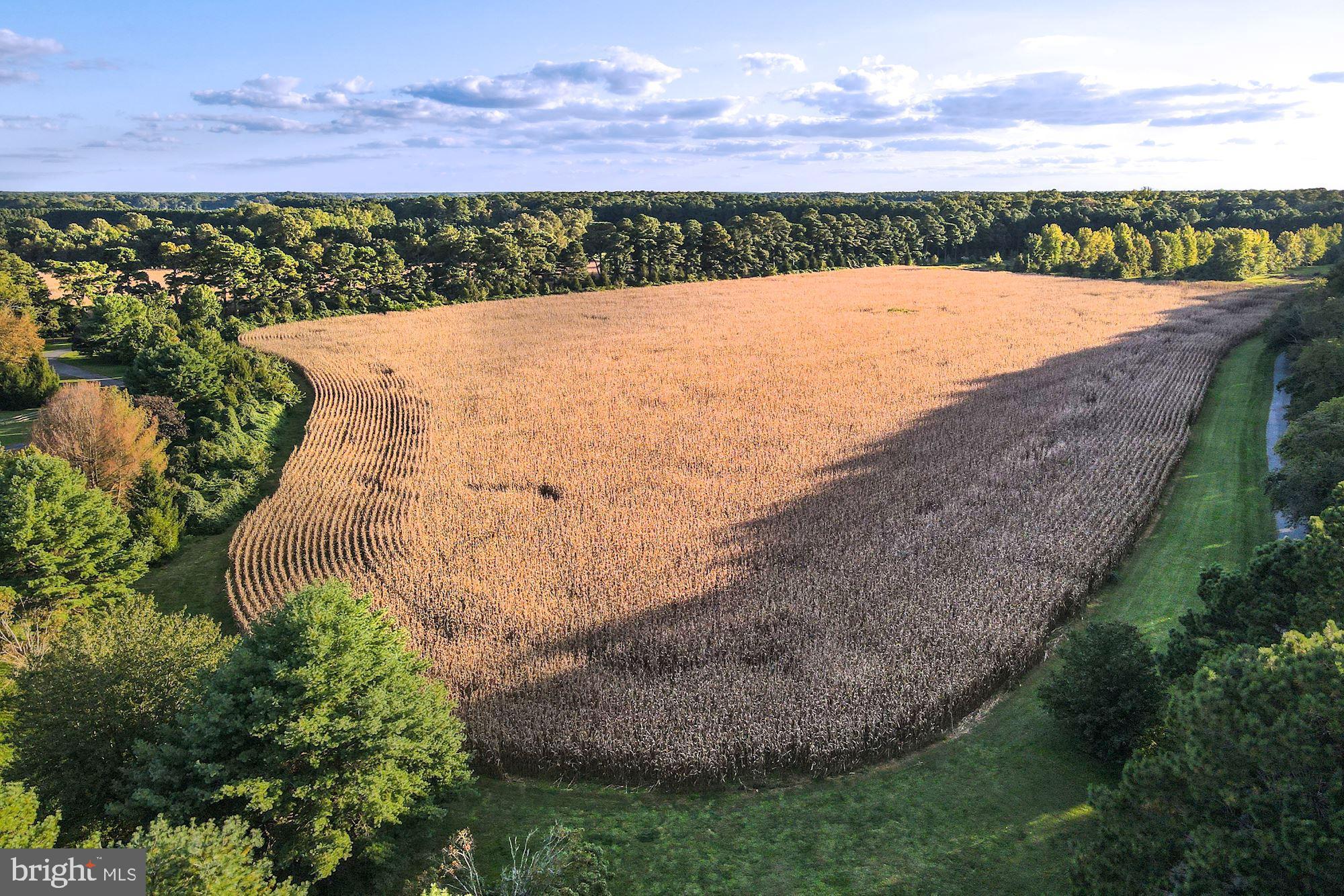 WATERFRONT - Residential