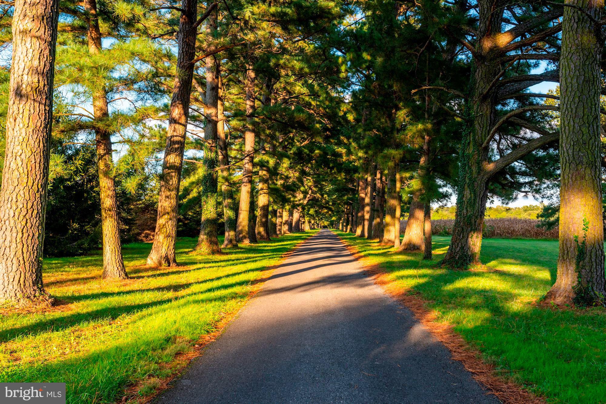 WATERFRONT - Residential