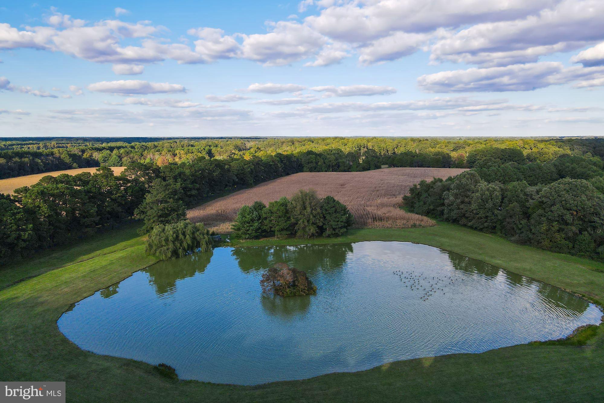 WATERFRONT - Residential