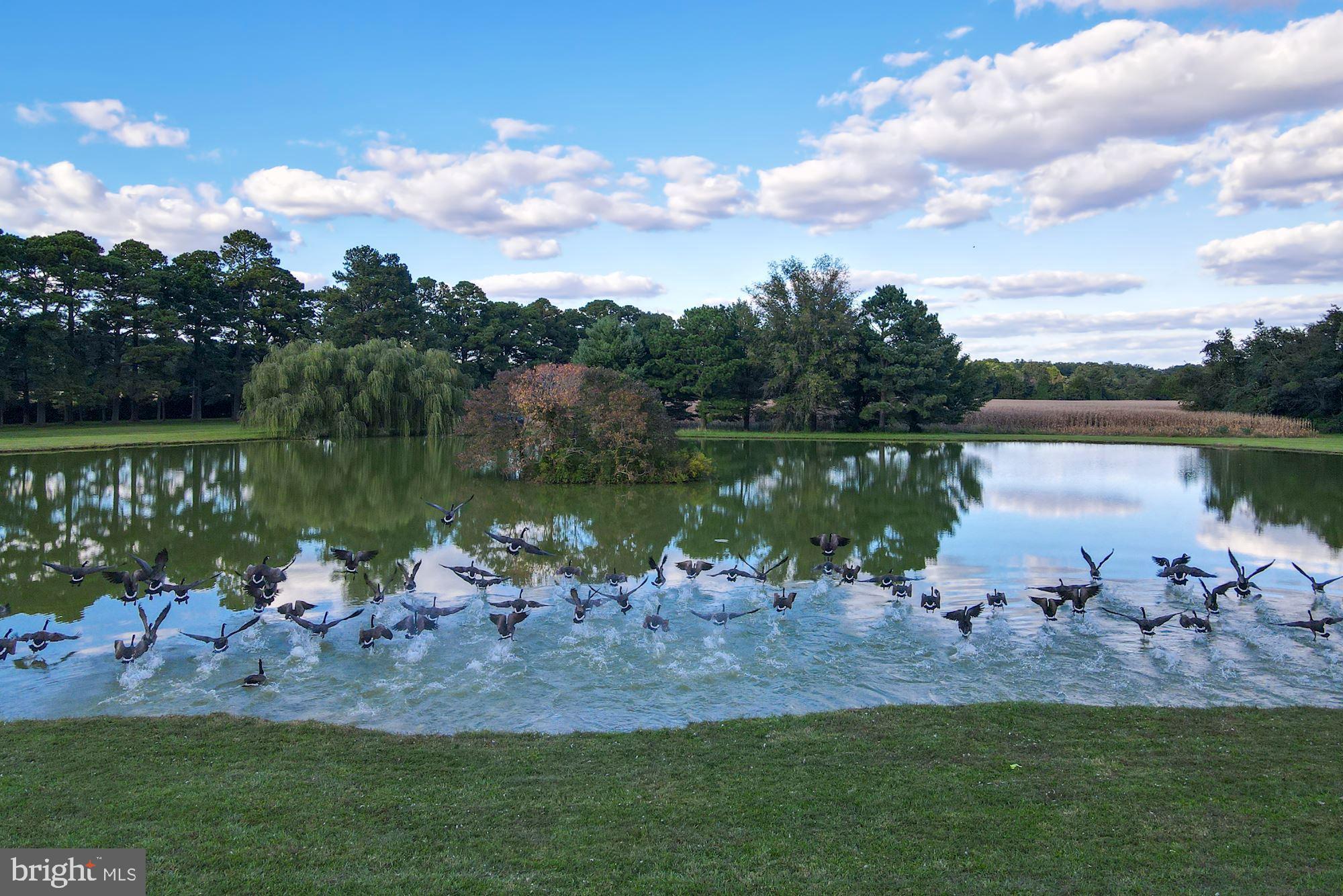 WATERFRONT - Residential