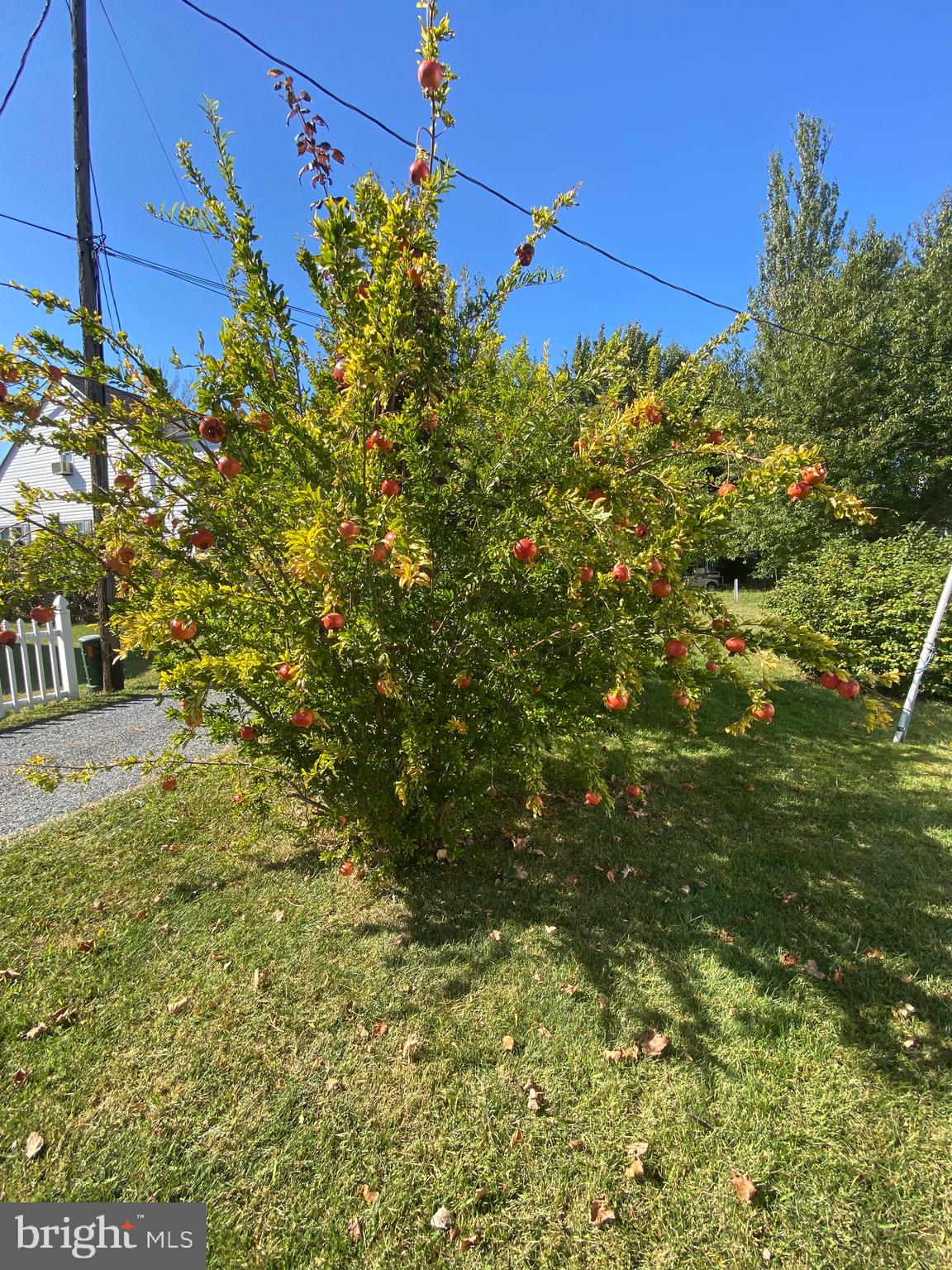 SMITH ISLAND - Residential