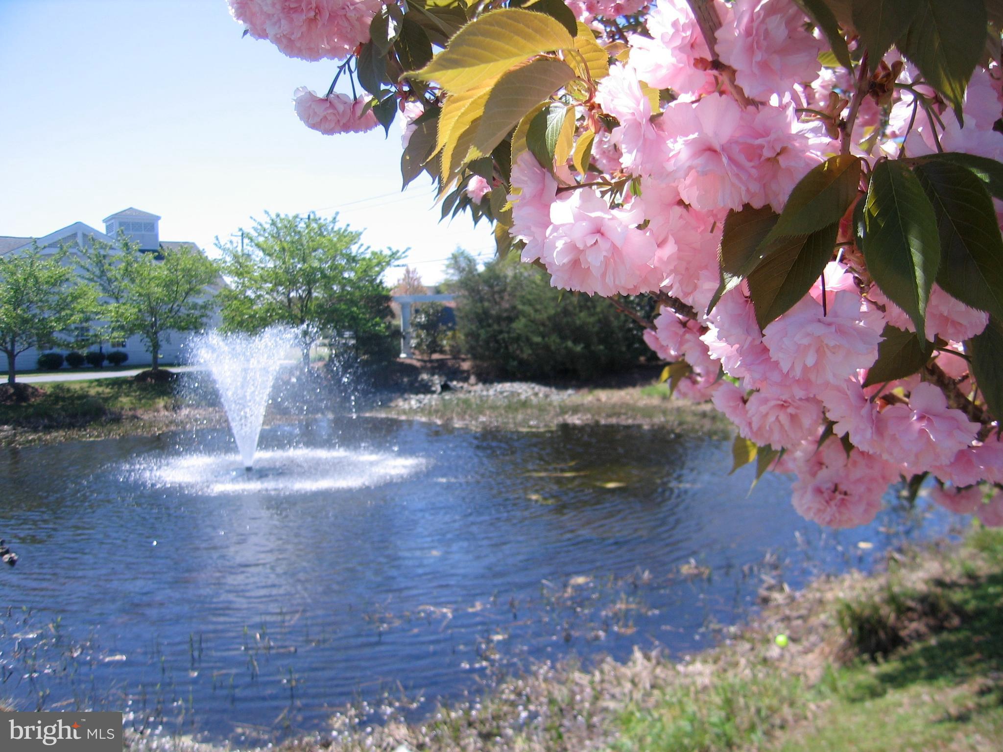 CEDAR BAY - Residential