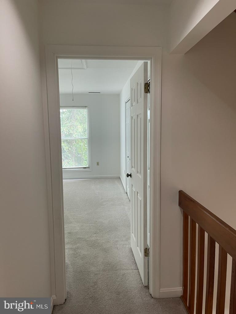 RIVA TRACE - Residential Lease