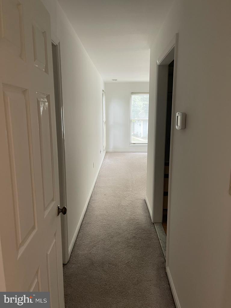 RIVA TRACE - Residential Lease