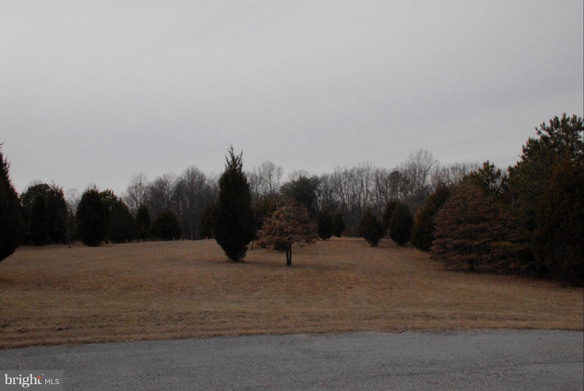 Lovely 8.41 acre lot in small subdivision. Approved perc and recorded plats. Minimal C&R and no HOA fee. Bring your builders!