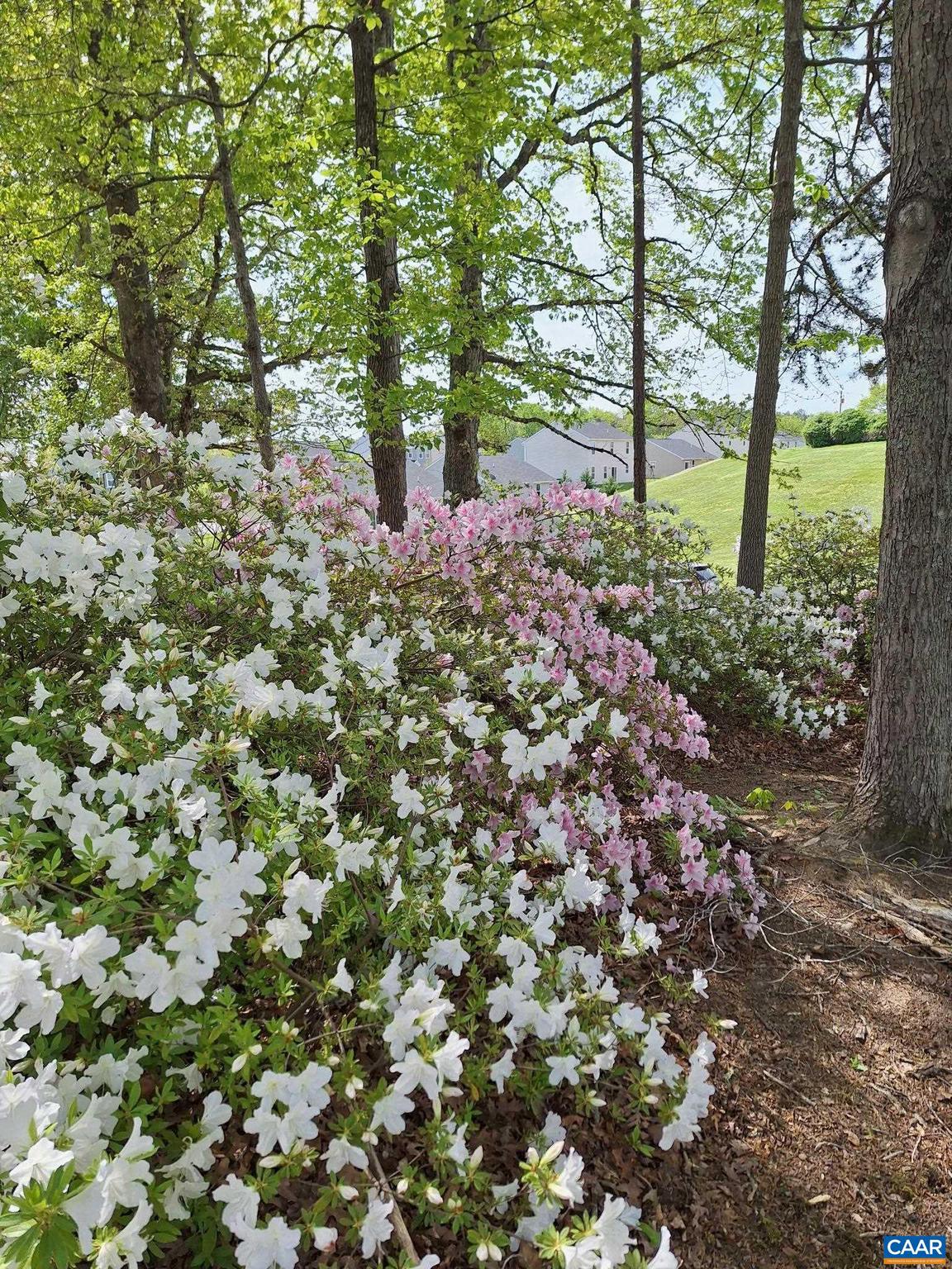 TRAILSIDE - Residential