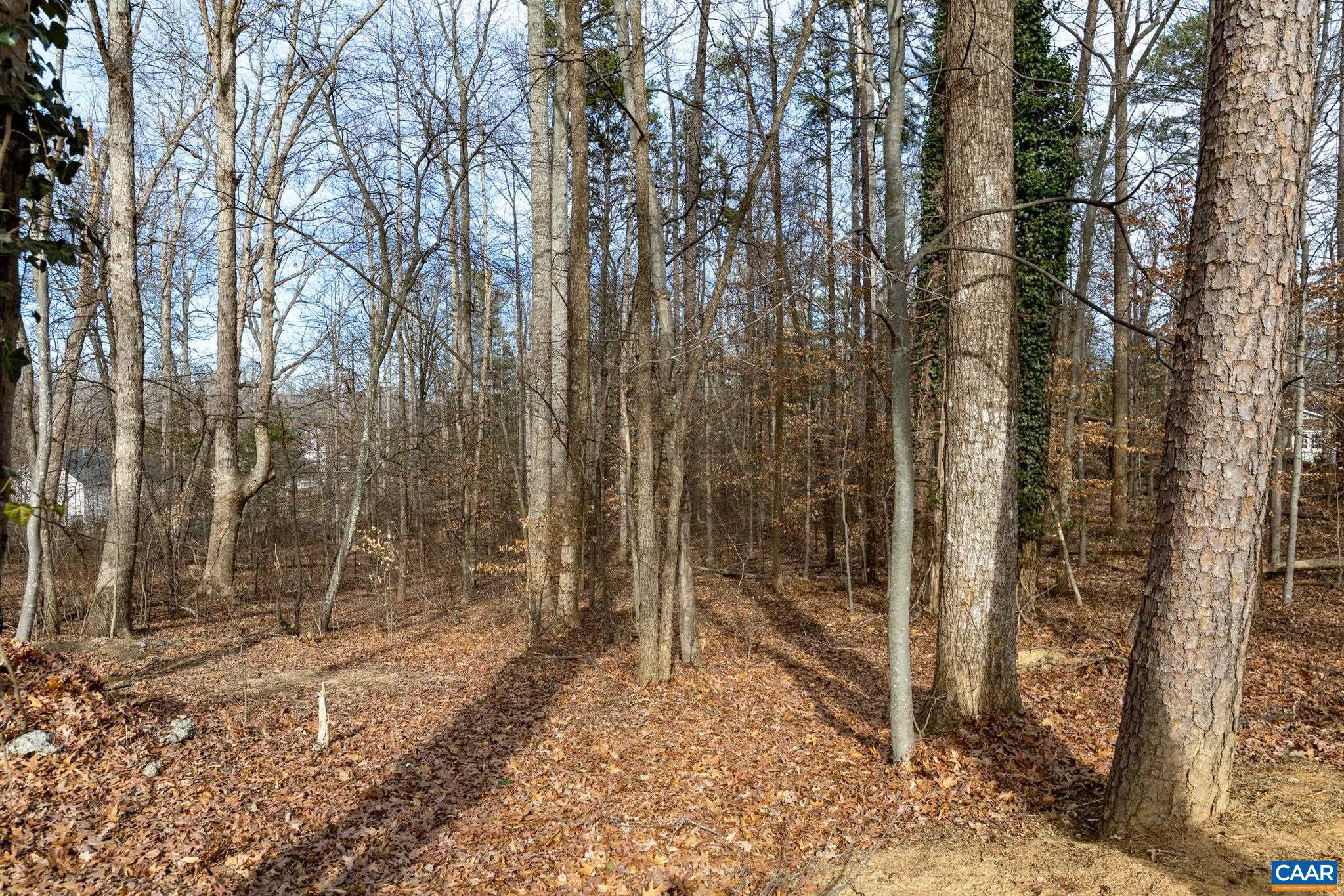 TRAILSIDE - Residential