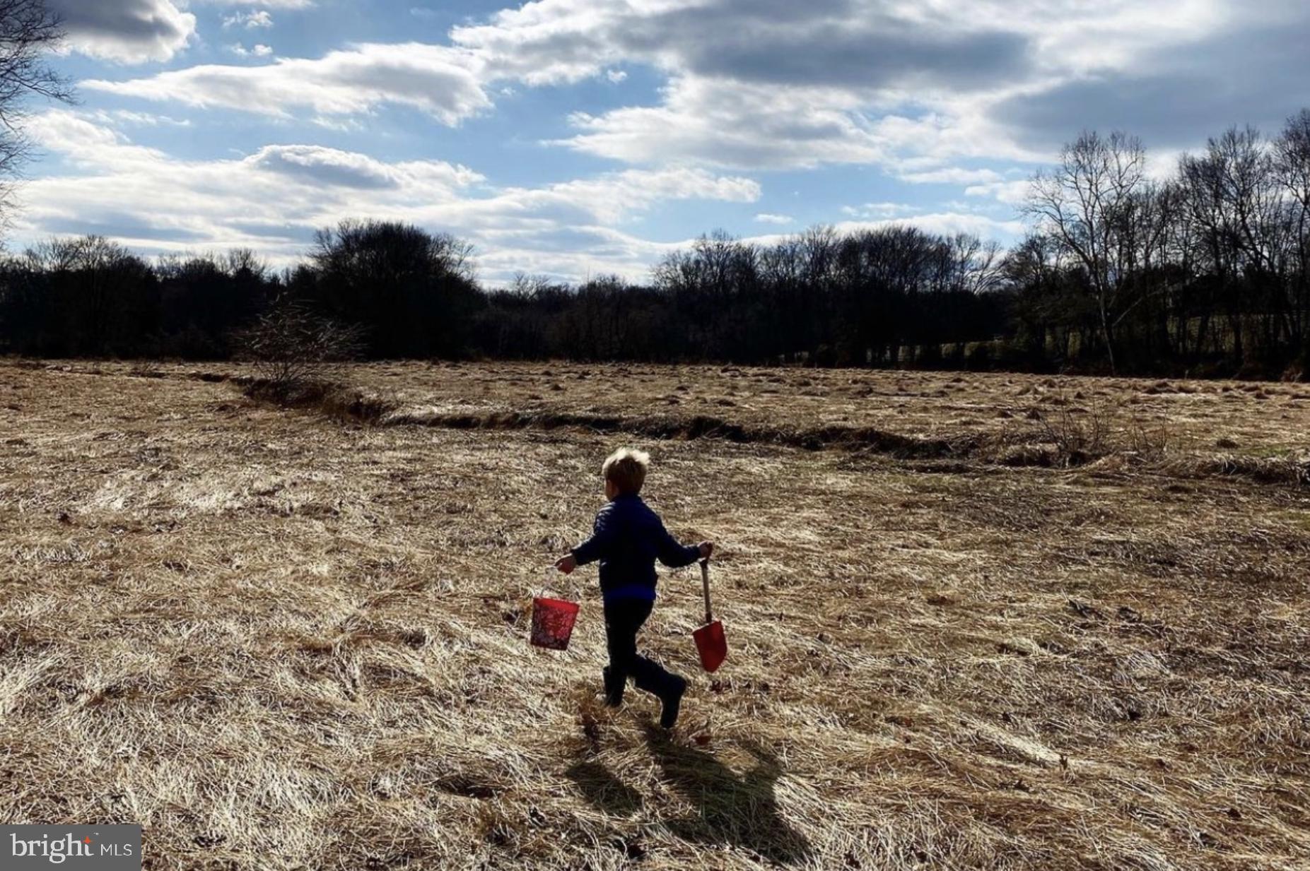 JACKSON ALBERT FARM - Residential