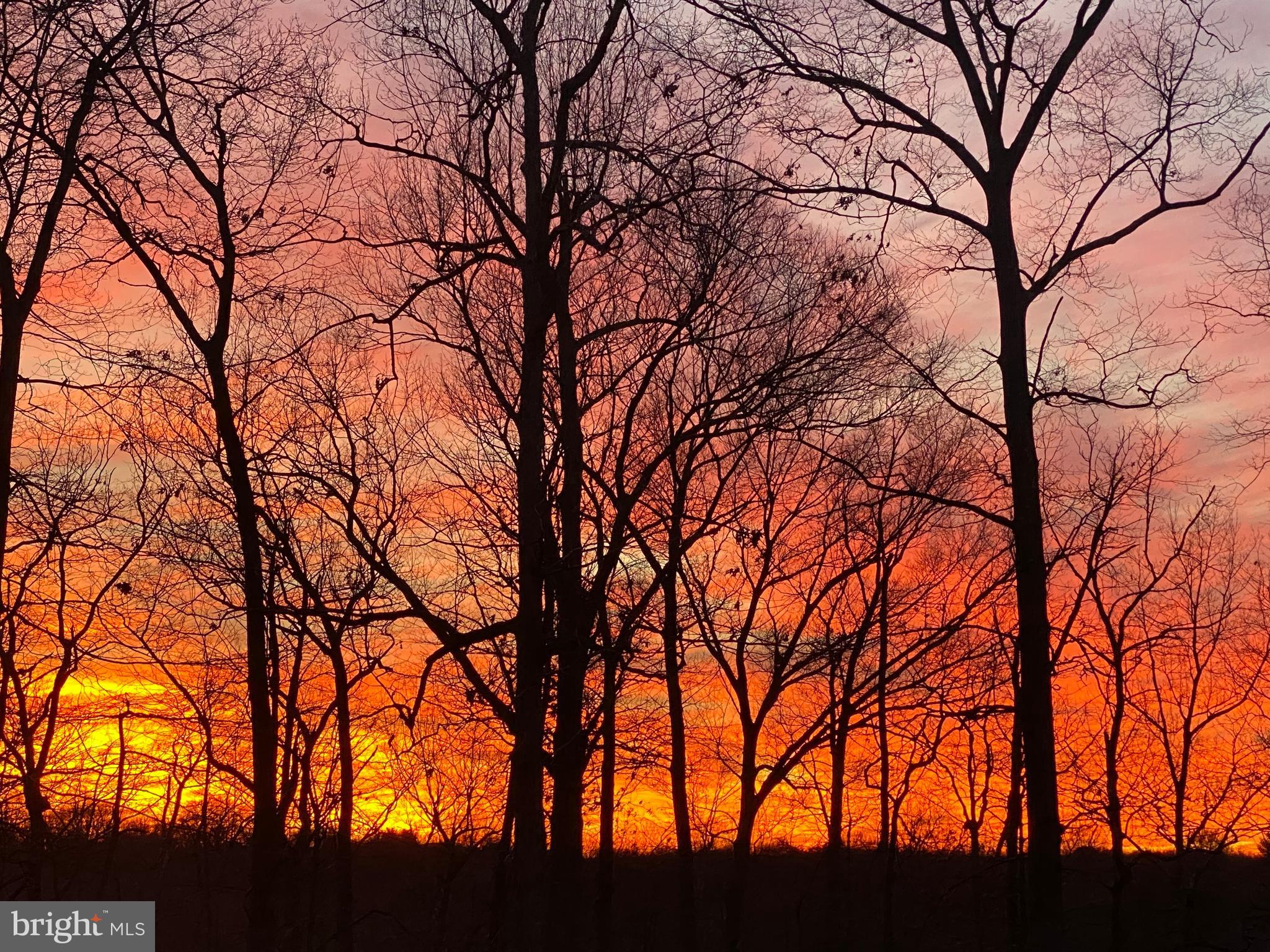 JACKSON ALBERT FARM - Residential