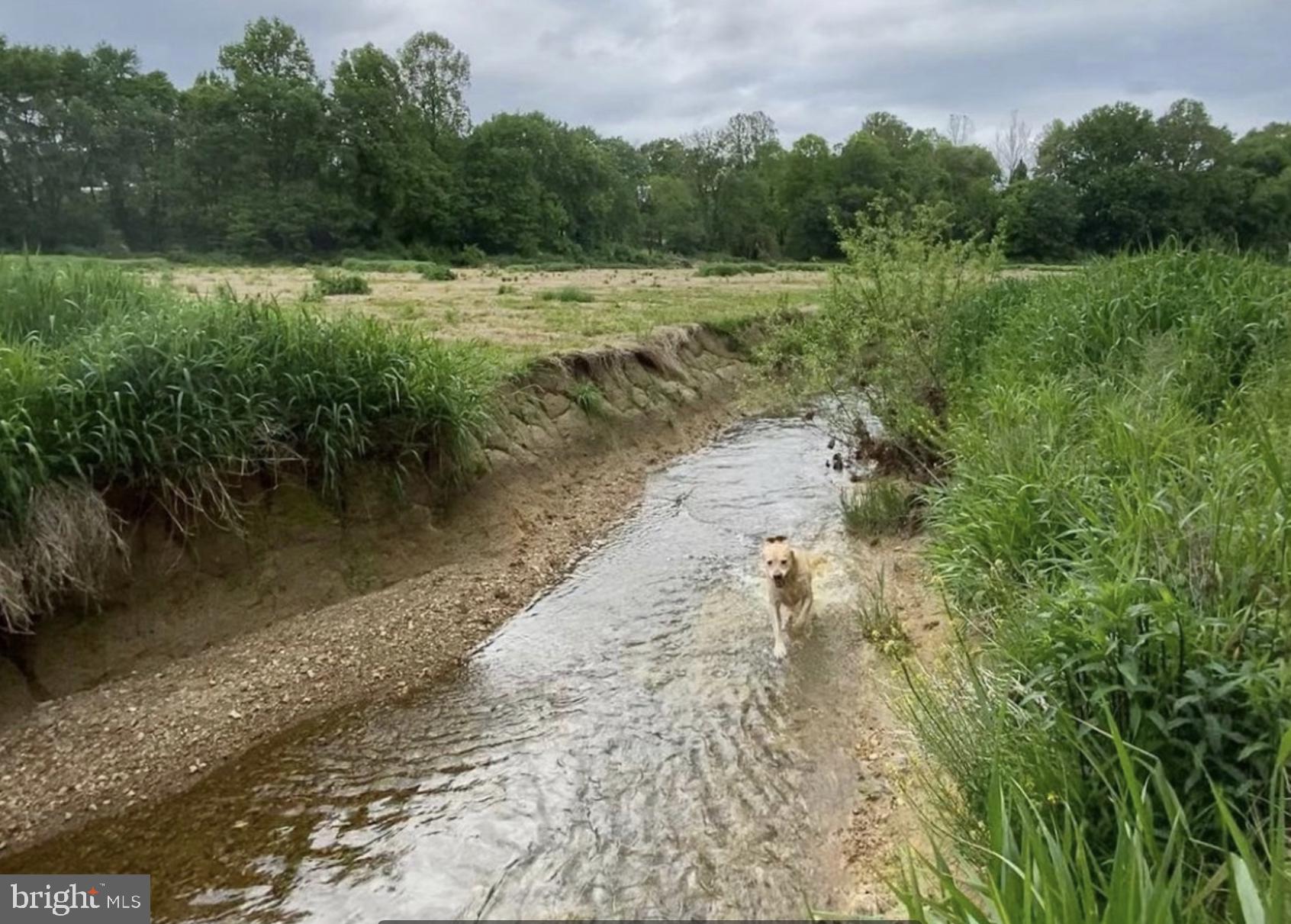 JACKSON ALBERT FARM - Residential