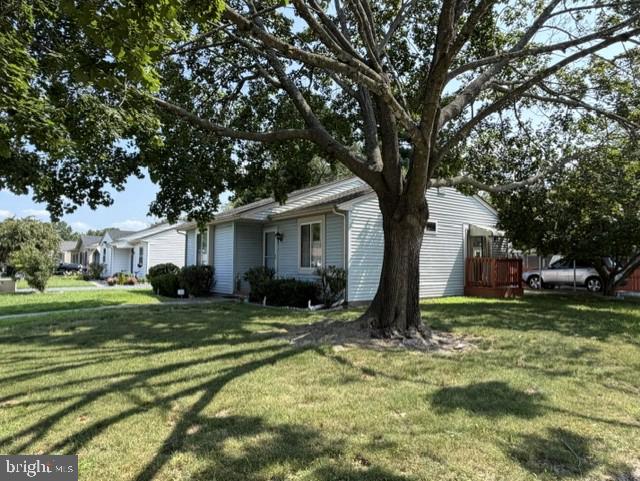 929 GREEN MOR AVENUE