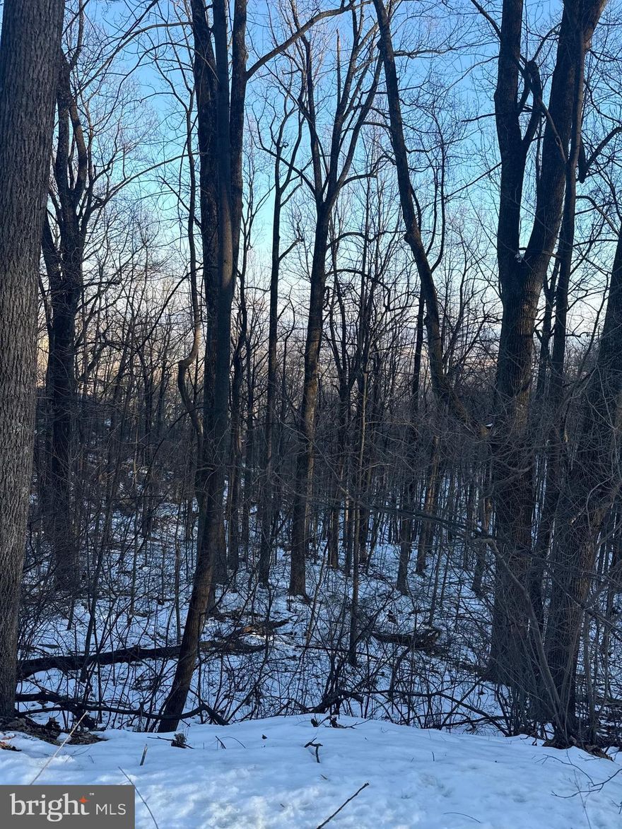 Little under 3/4 acre in a non-HOA Community.  Build your weekend getaway or custom-built home.
 Please read and Google to learn more about water access on Bull Run Mountain and the Evergreen Water Supply Water Improvements Program.
Lot is not surveyed or graded - Please see county tax records for more information