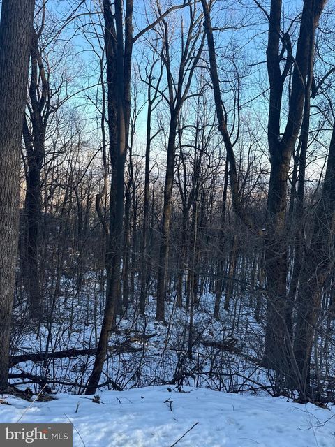 Vacant Land For Sale - 16209 Sumney Drive<br/> Prince William County, HAYMARKET, VA 20169